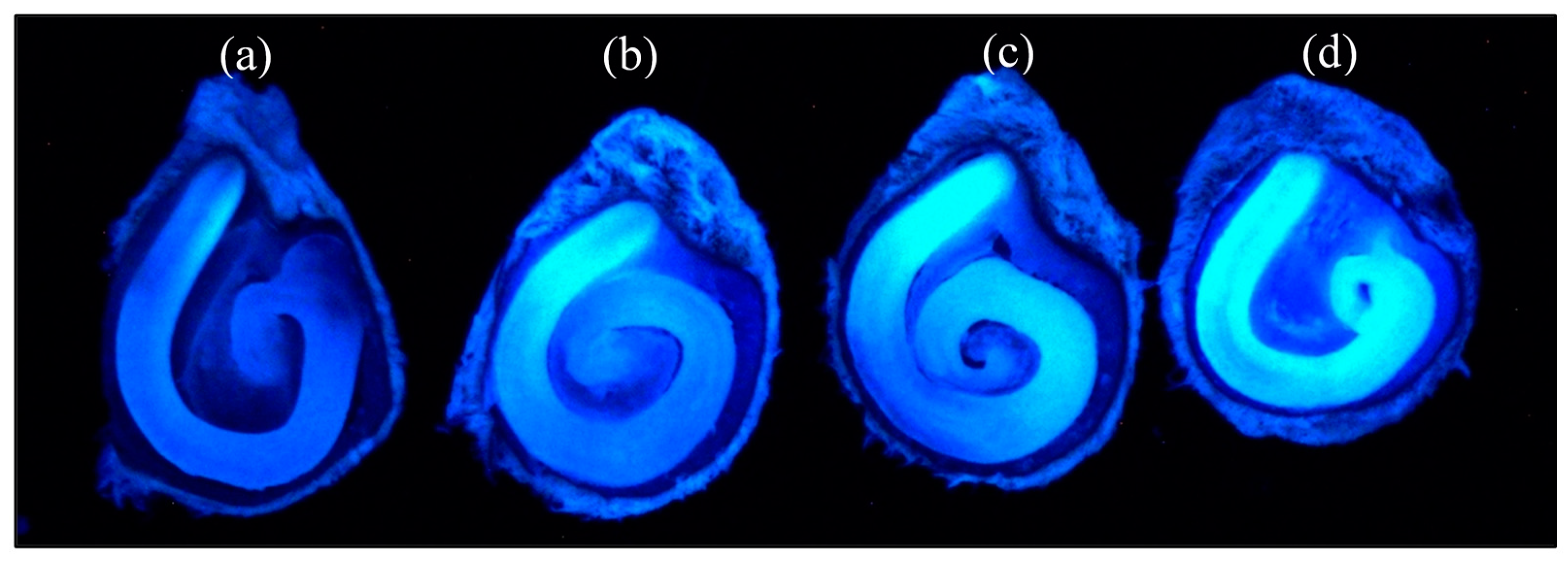 Agriculture 11 00199 g002
