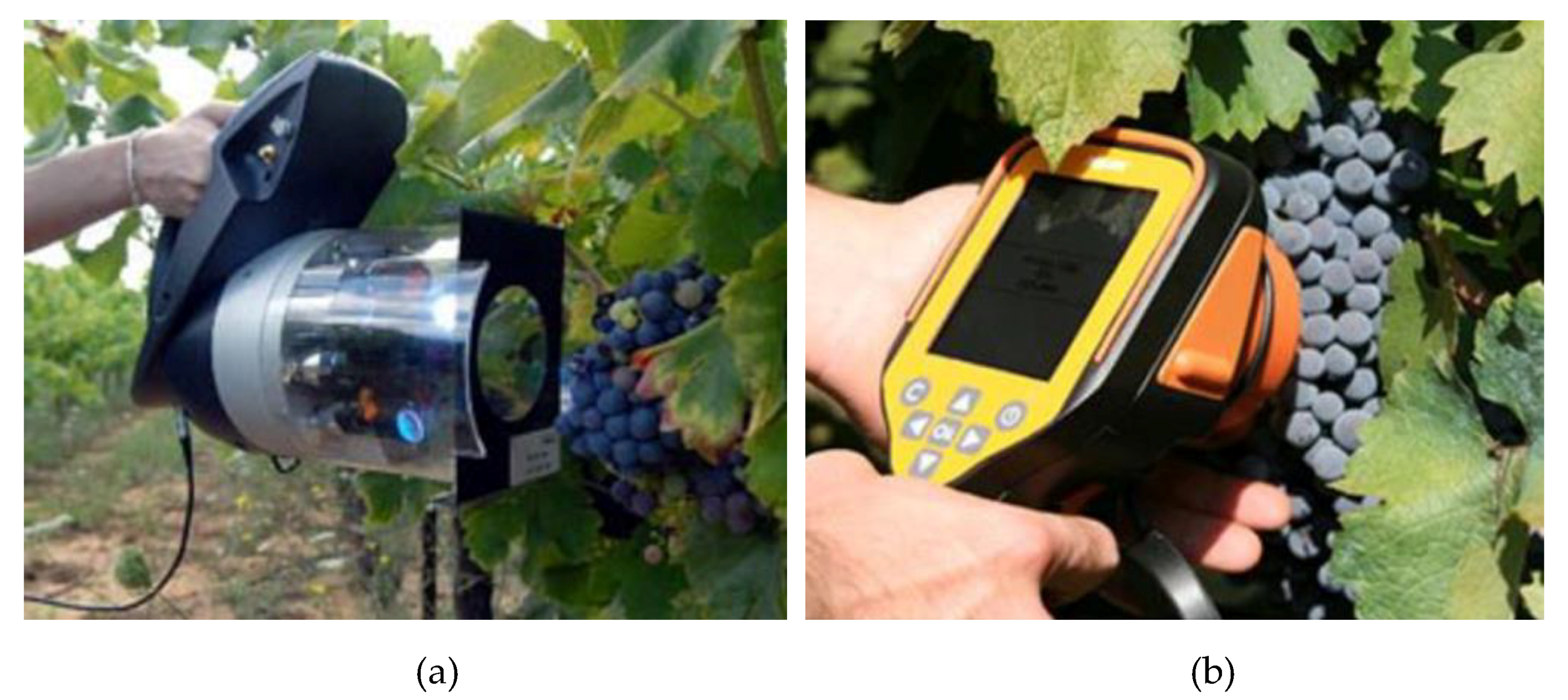 Agriculture 11 00201 g008 Agriculture 11 00201 g008