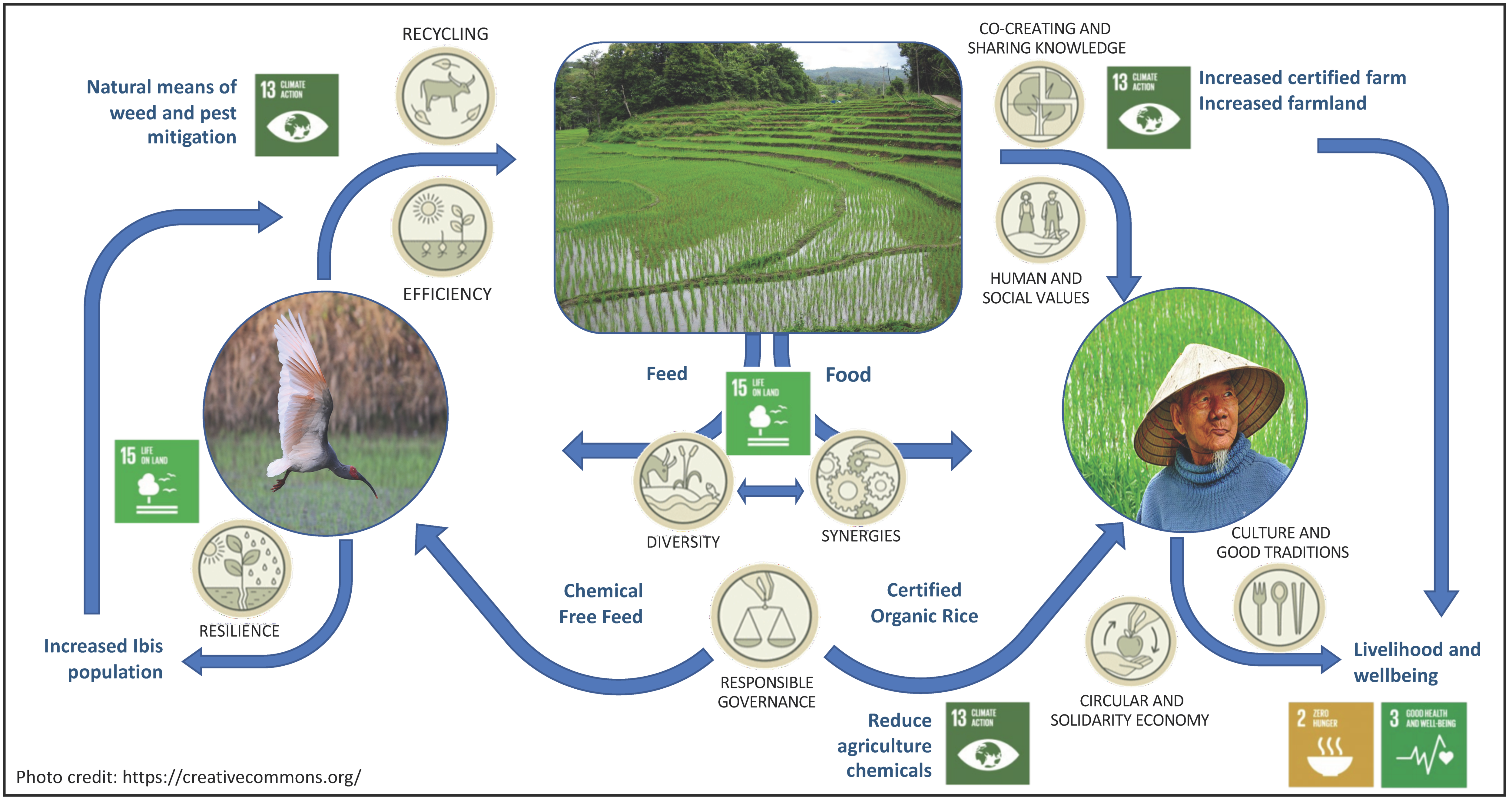 Agriculture 11 00204 g002 Agriculture 11 00204 g002