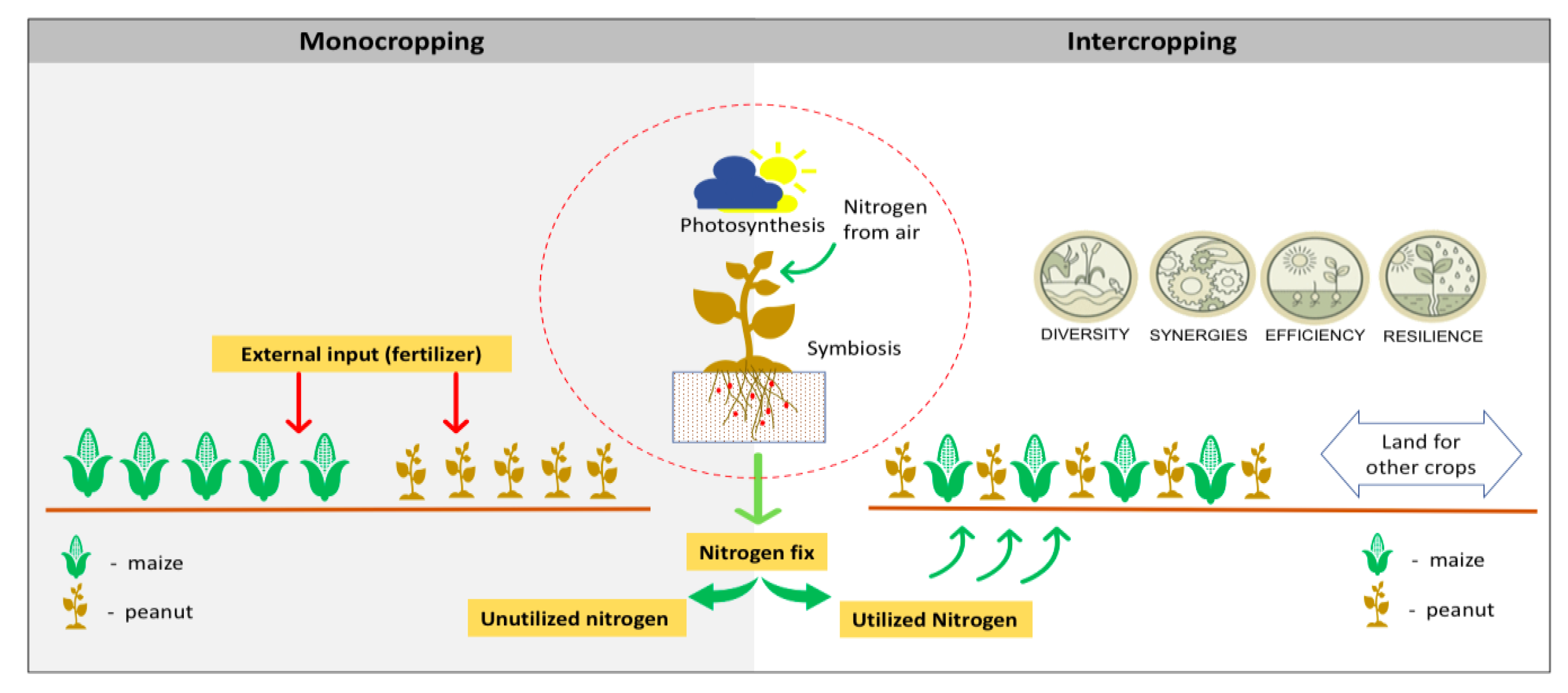 Agriculture 11 00204 g003 Agriculture 11 00204 g003