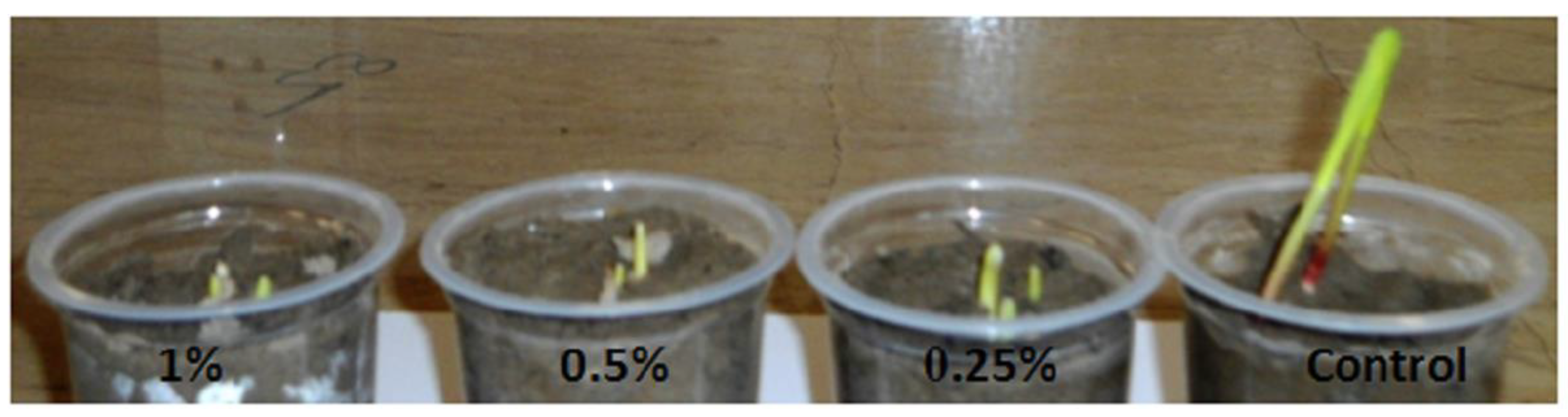 Agriculture 11 00210 g001