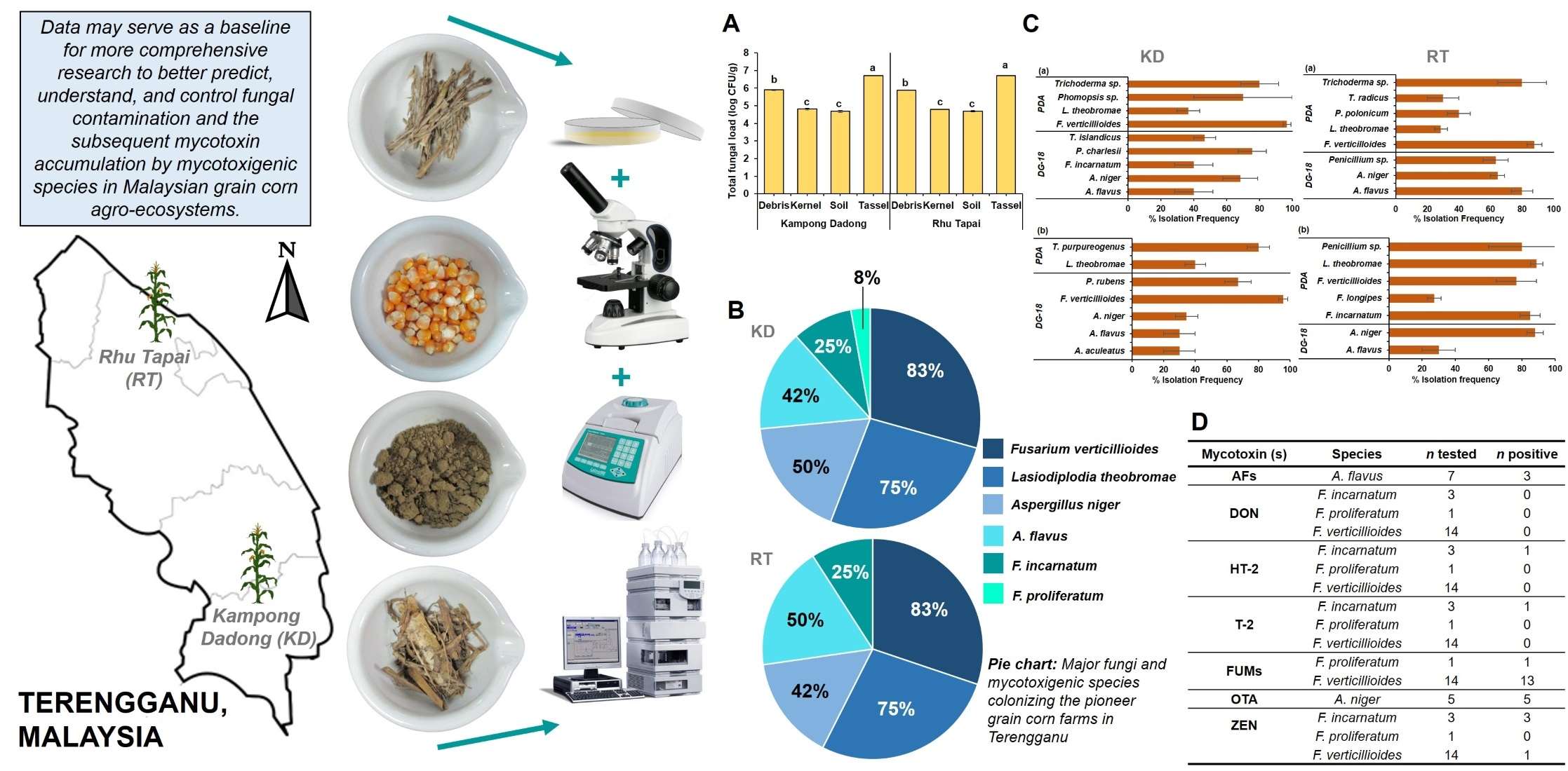 agriculture free full text diversity and toxigenicity of mycobiota in grain corn a case study at pioneer grain corn plantations in terengganu malaysia html