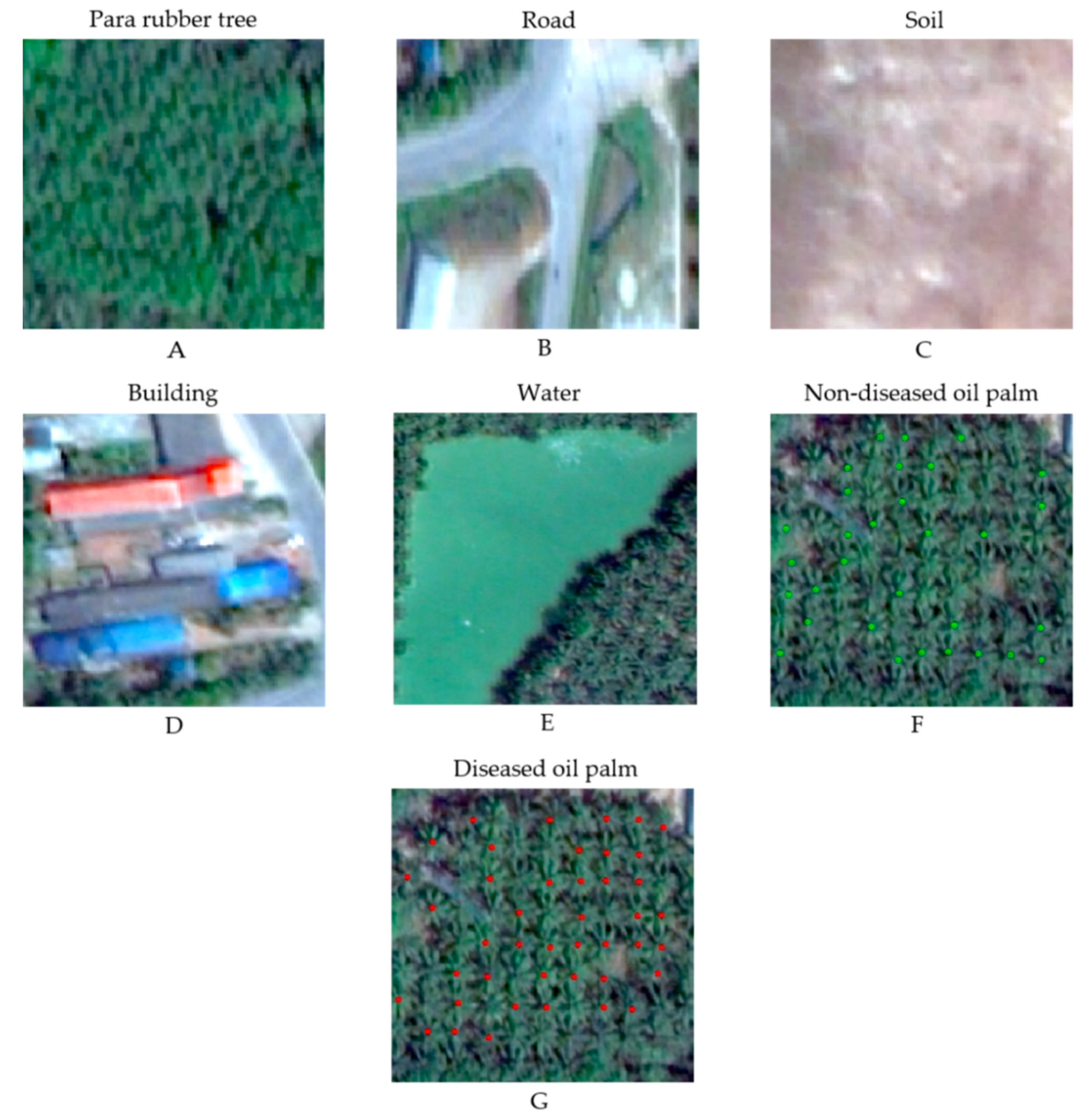 Agriculture 11 00251 g003