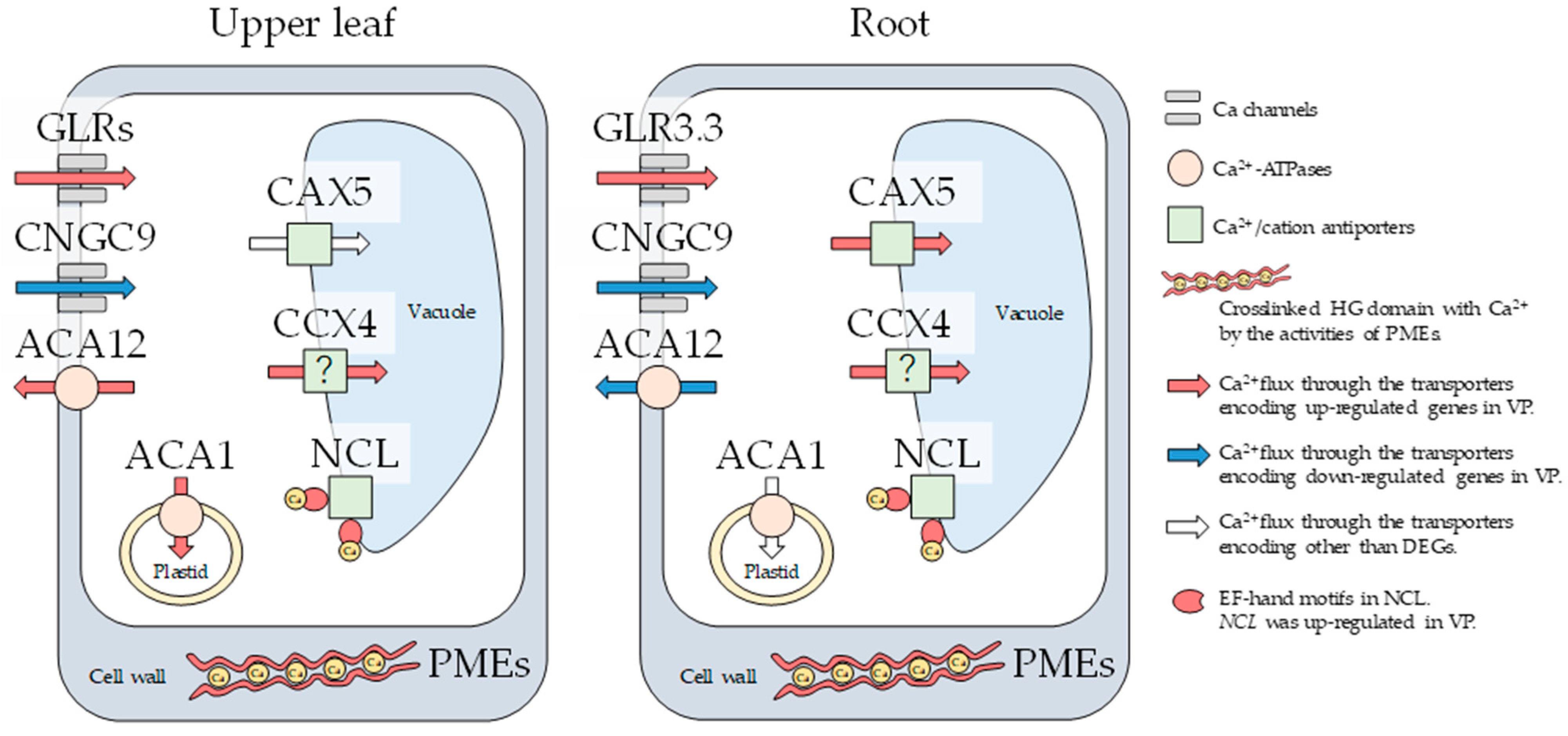 Agriculture 11 00254 g002 Agriculture 11 00254 g002