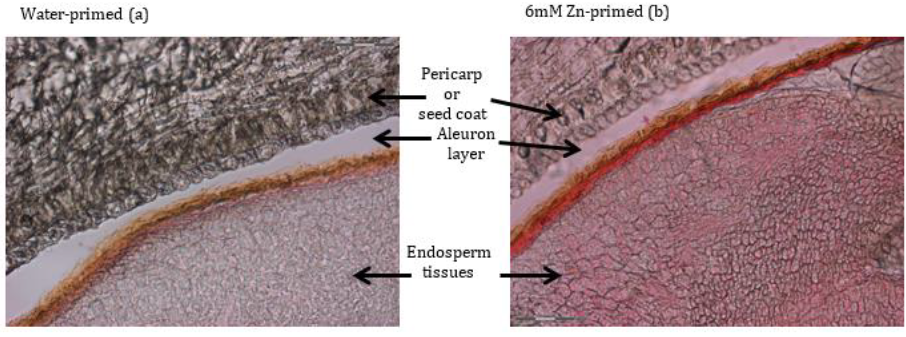 Agriculture 11 00271 g004