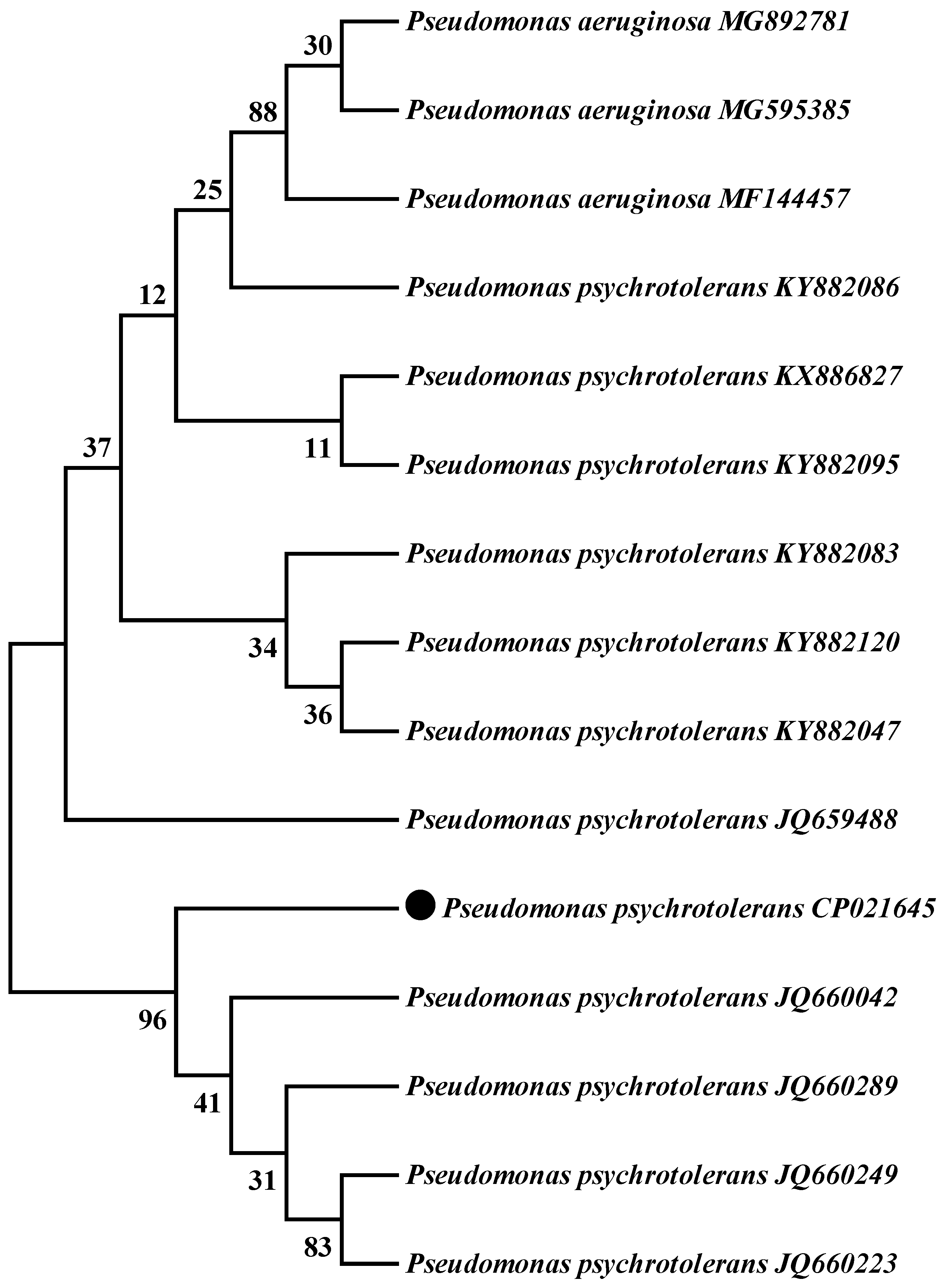 Agriculture 11 00272 g001 Agriculture 11 00272 g001
