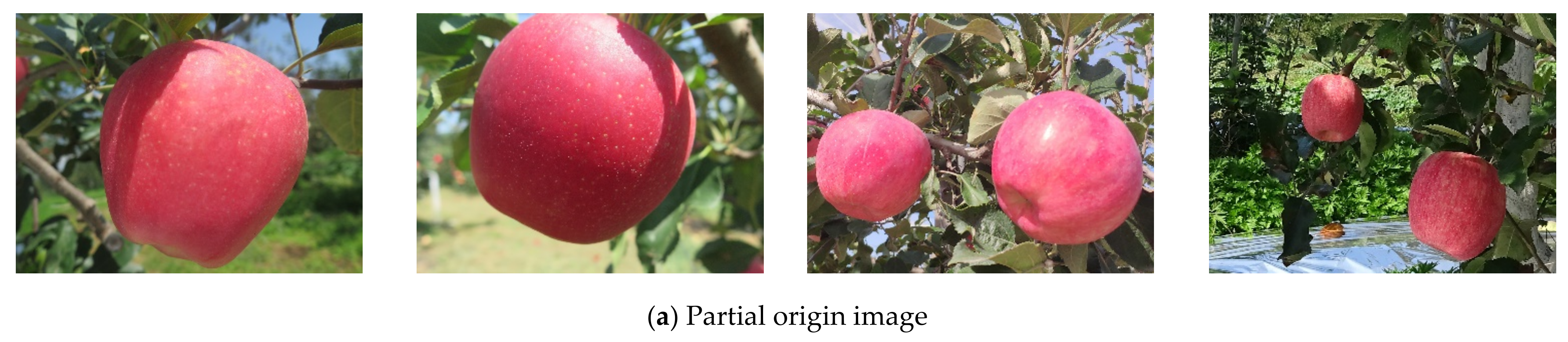 Agriculture 11 00273 g009a