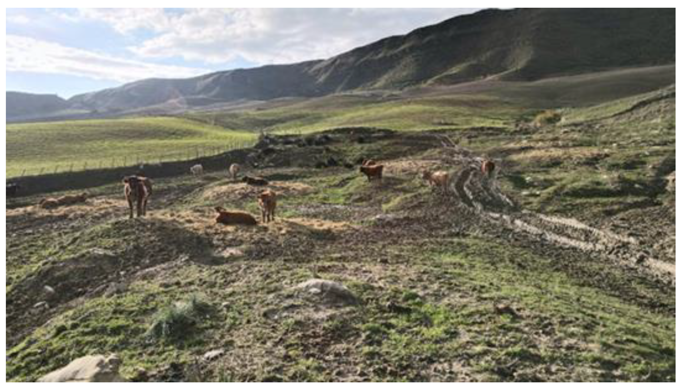 Agriculture 11 00274 g001