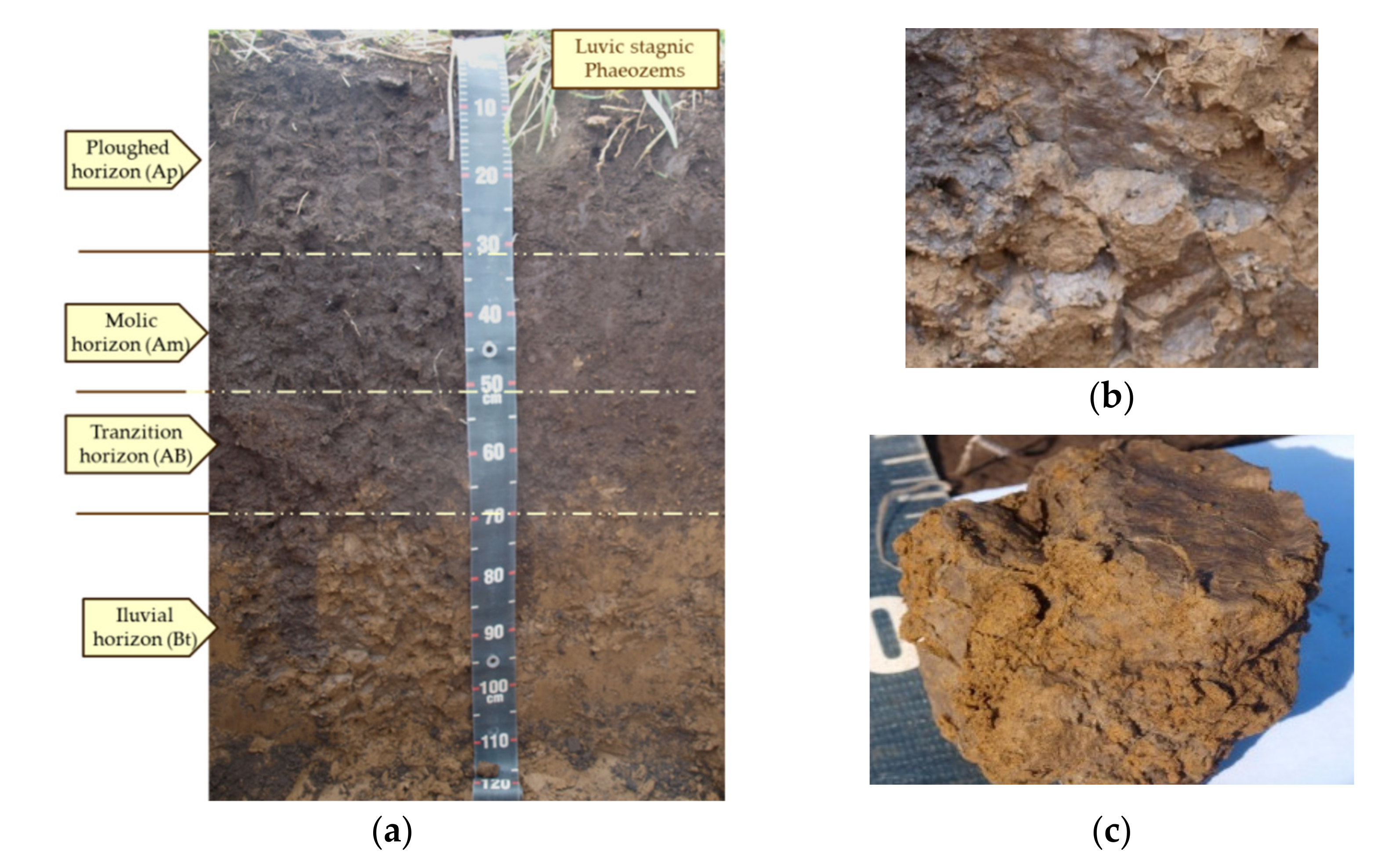 Agriculture 11 00278 g003 Agriculture 11 00278 g003