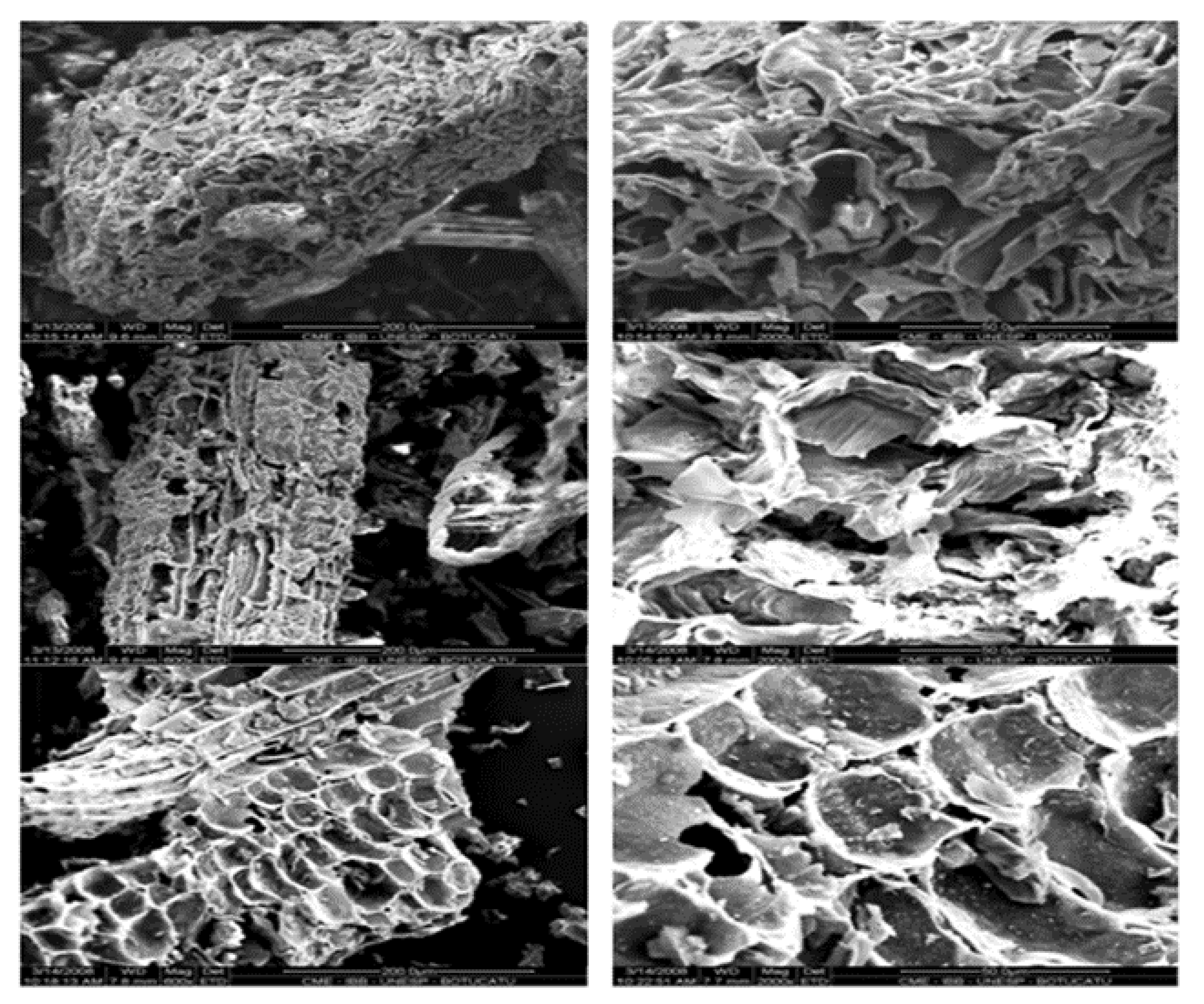 Agriculture 11 00295 g001 Agriculture 11 00295 g001