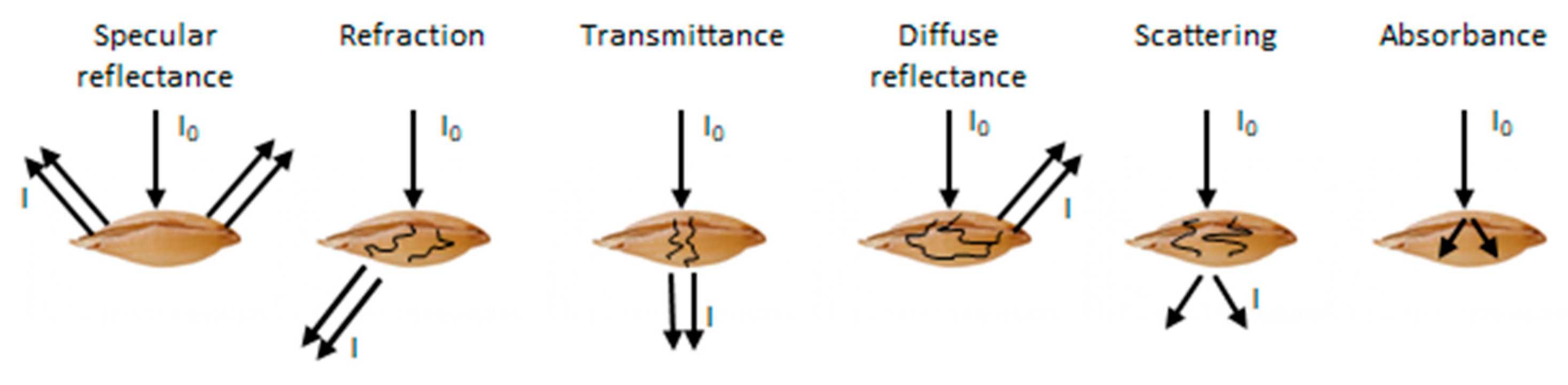 Agriculture 11 00301 g002