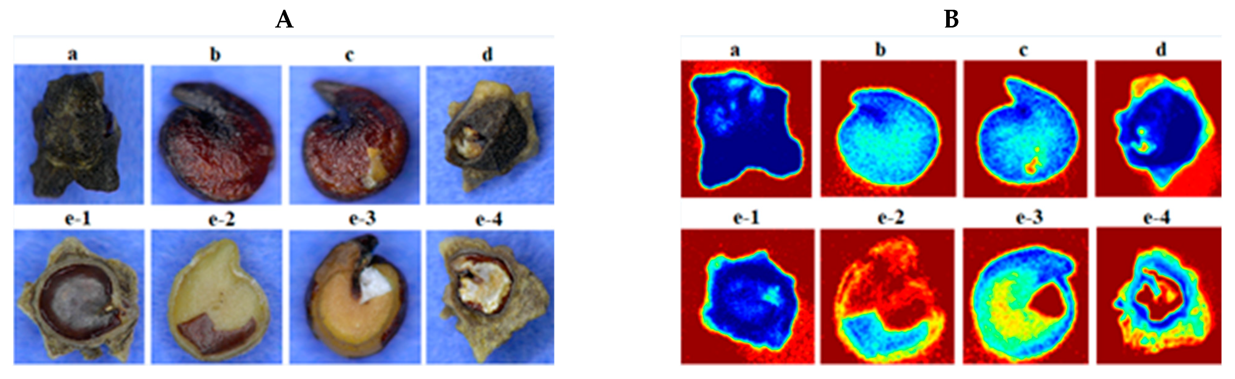 Agriculture 11 00301 g005