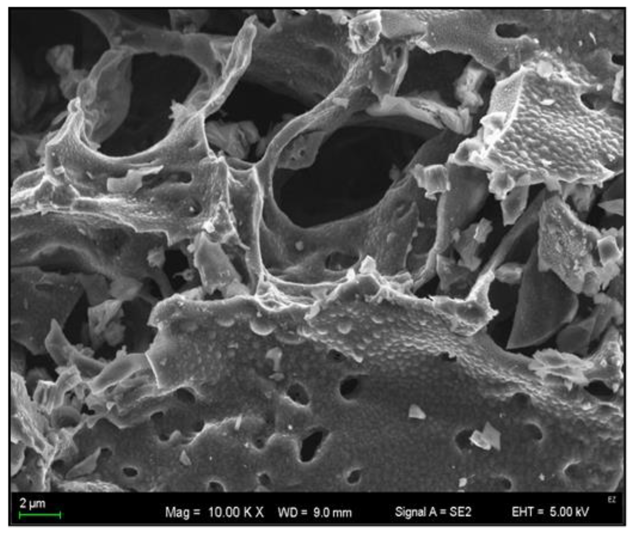 Agriculture 11 00305 g001 Agriculture 11 00305 g001