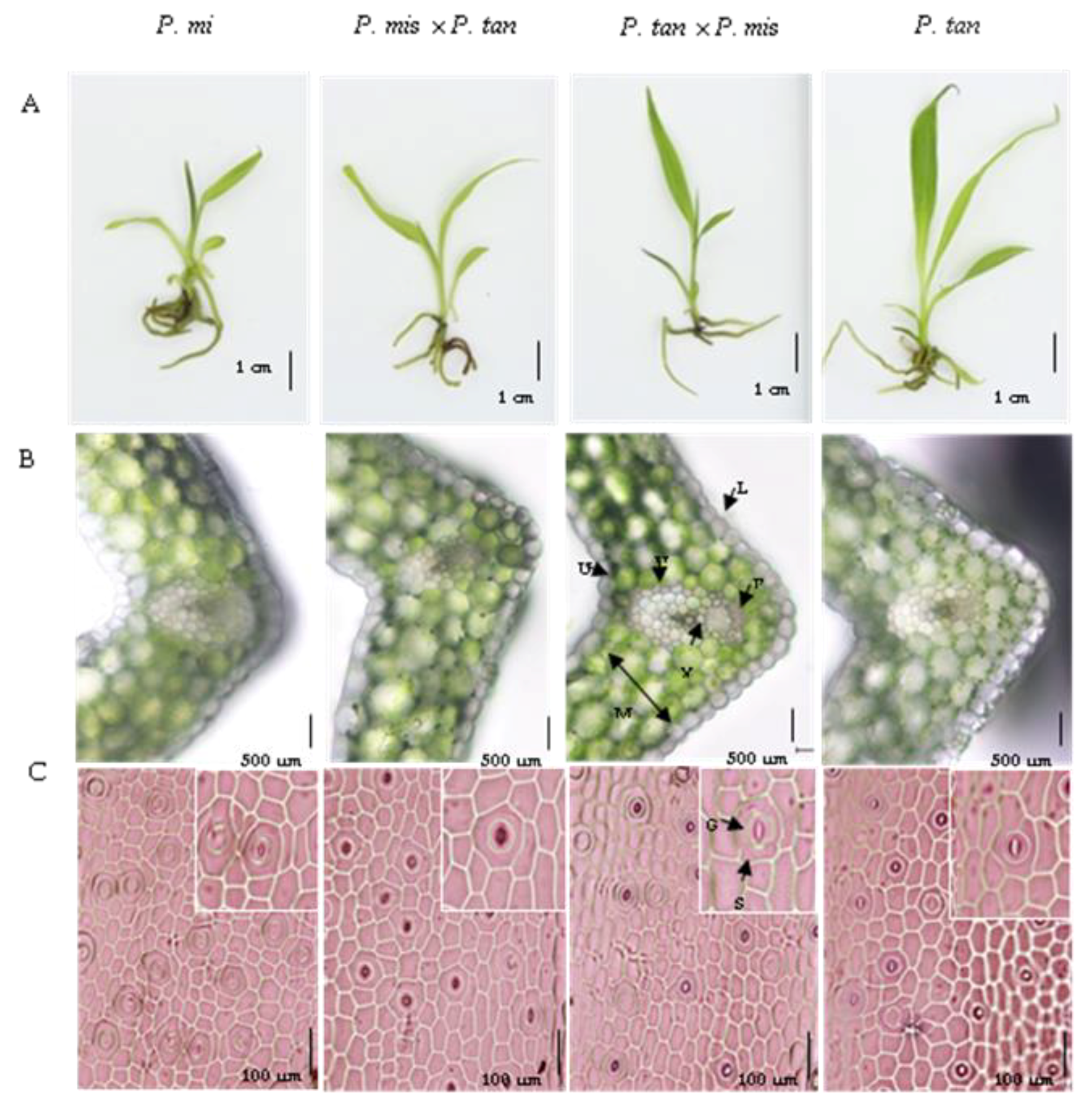 Agriculture 11 00306 g002 Agriculture 11 00306 g002