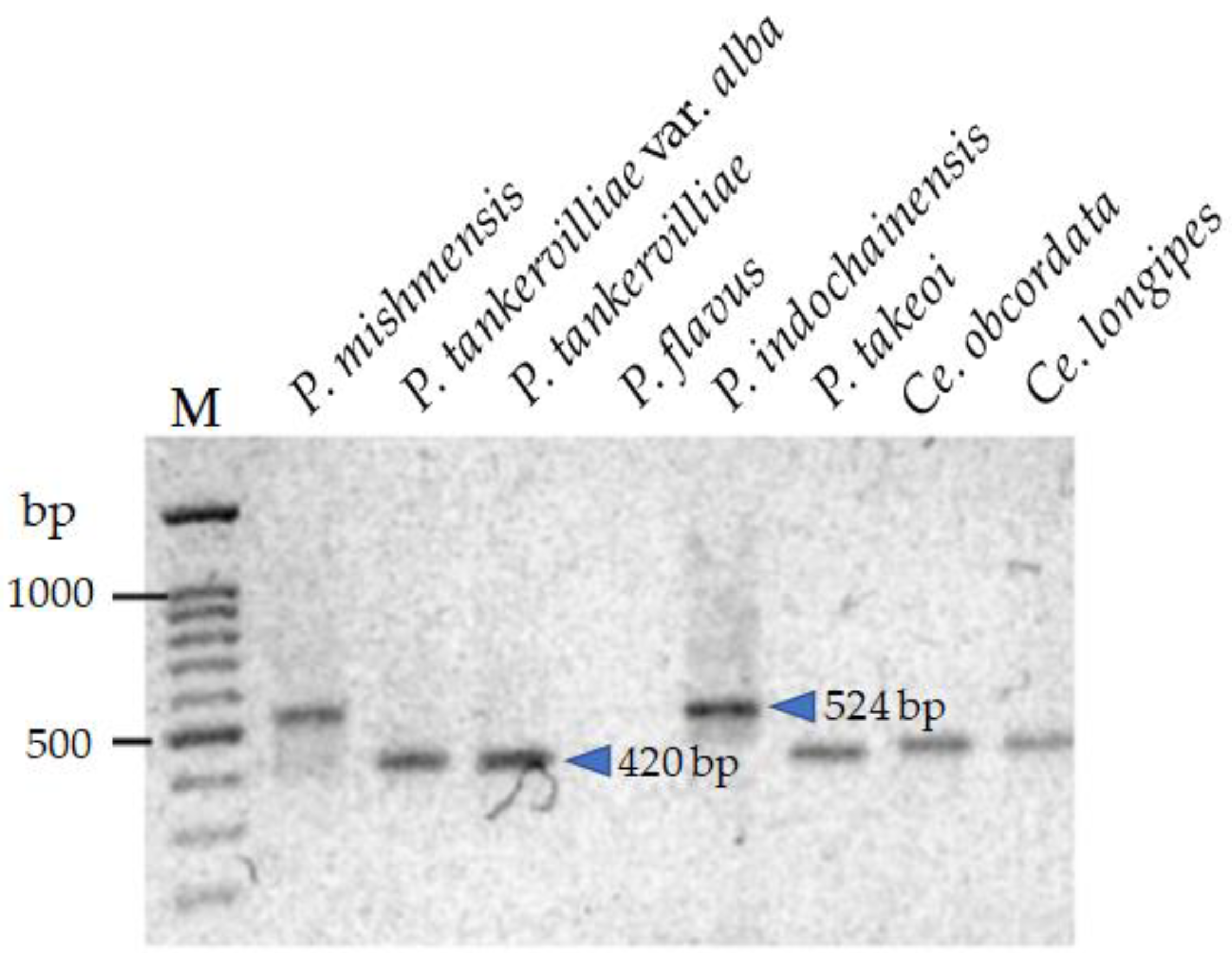 Agriculture 11 00306 g003 Agriculture 11 00306 g003
