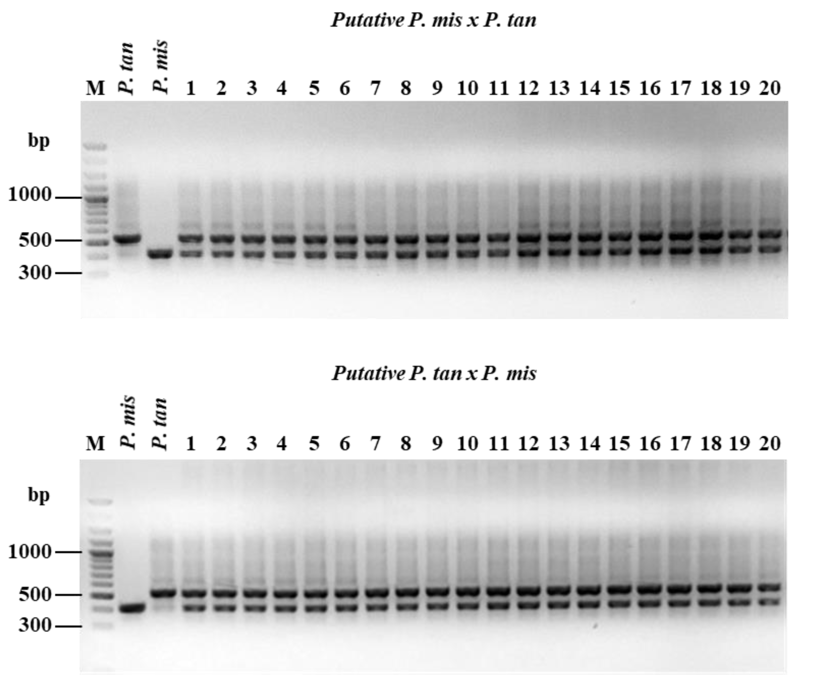 Agriculture 11 00306 g004 Agriculture 11 00306 g004