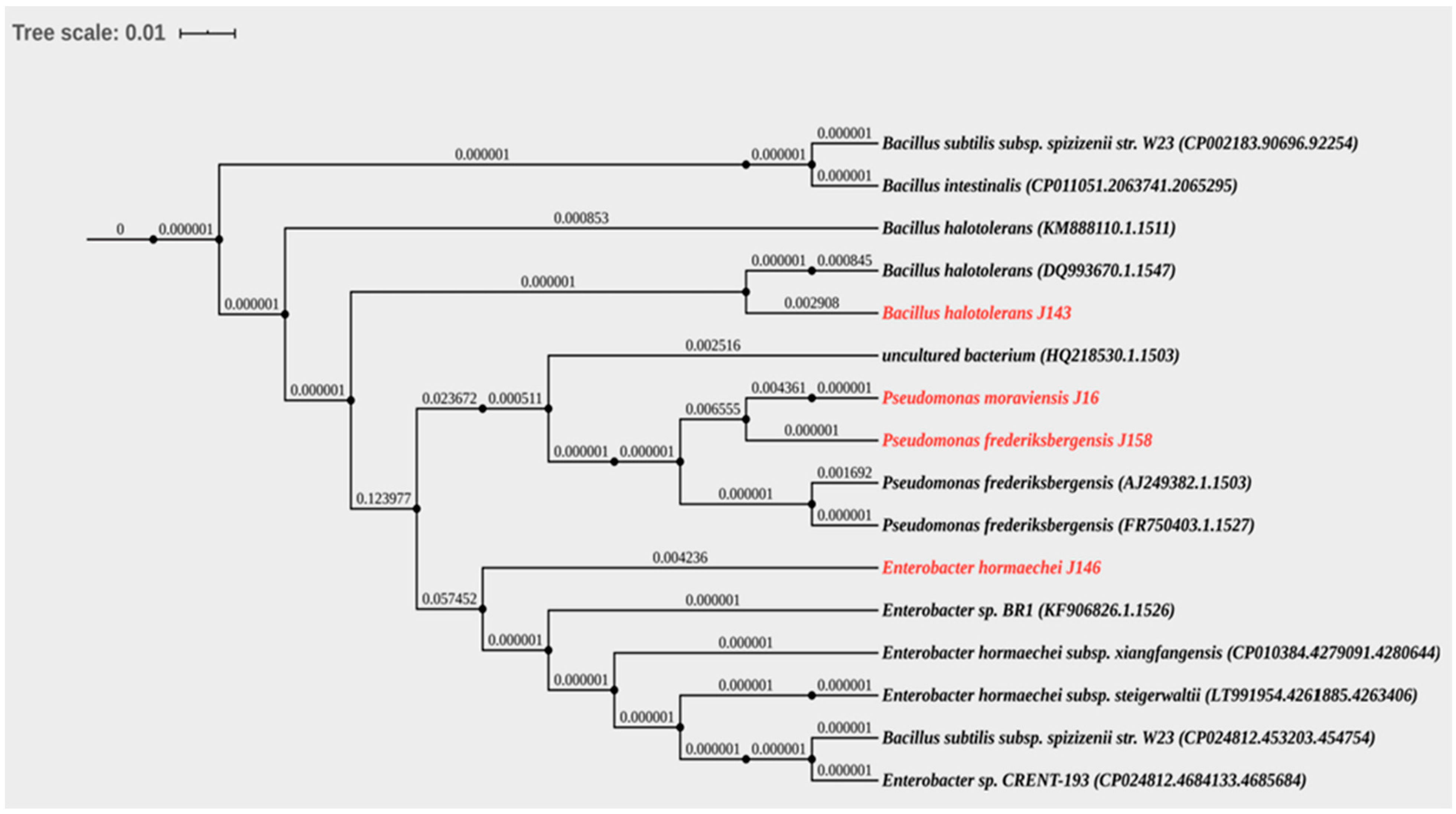 Agriculture 11 00316 g003