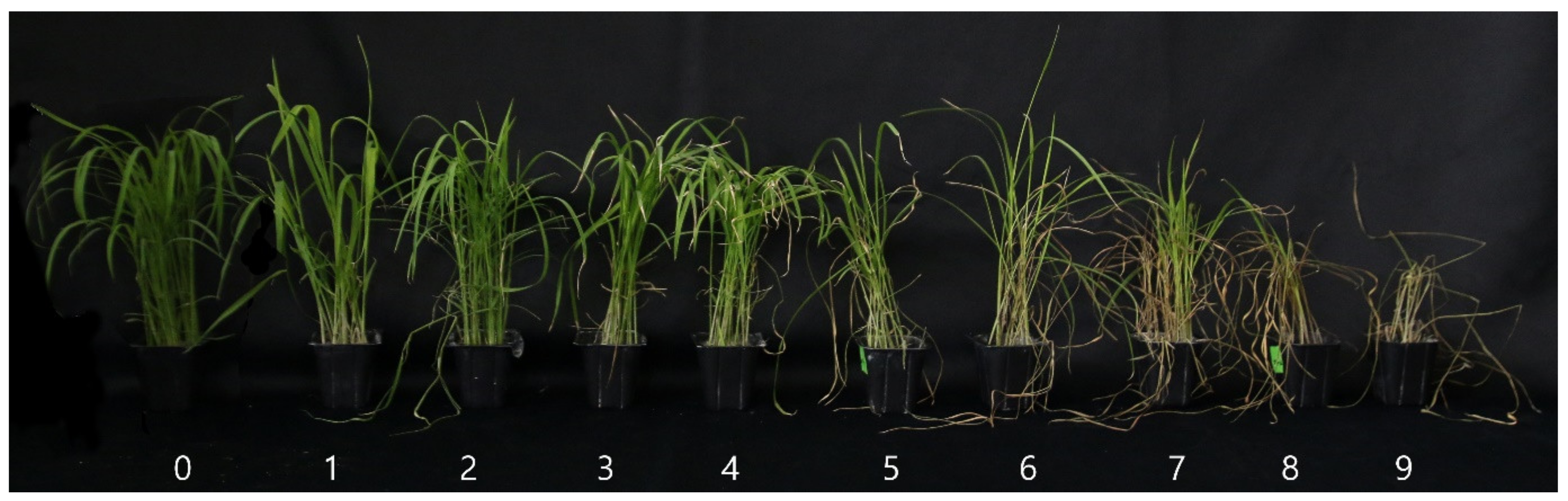 Agriculture 11 00318 g001 Agriculture 11 00318 g001