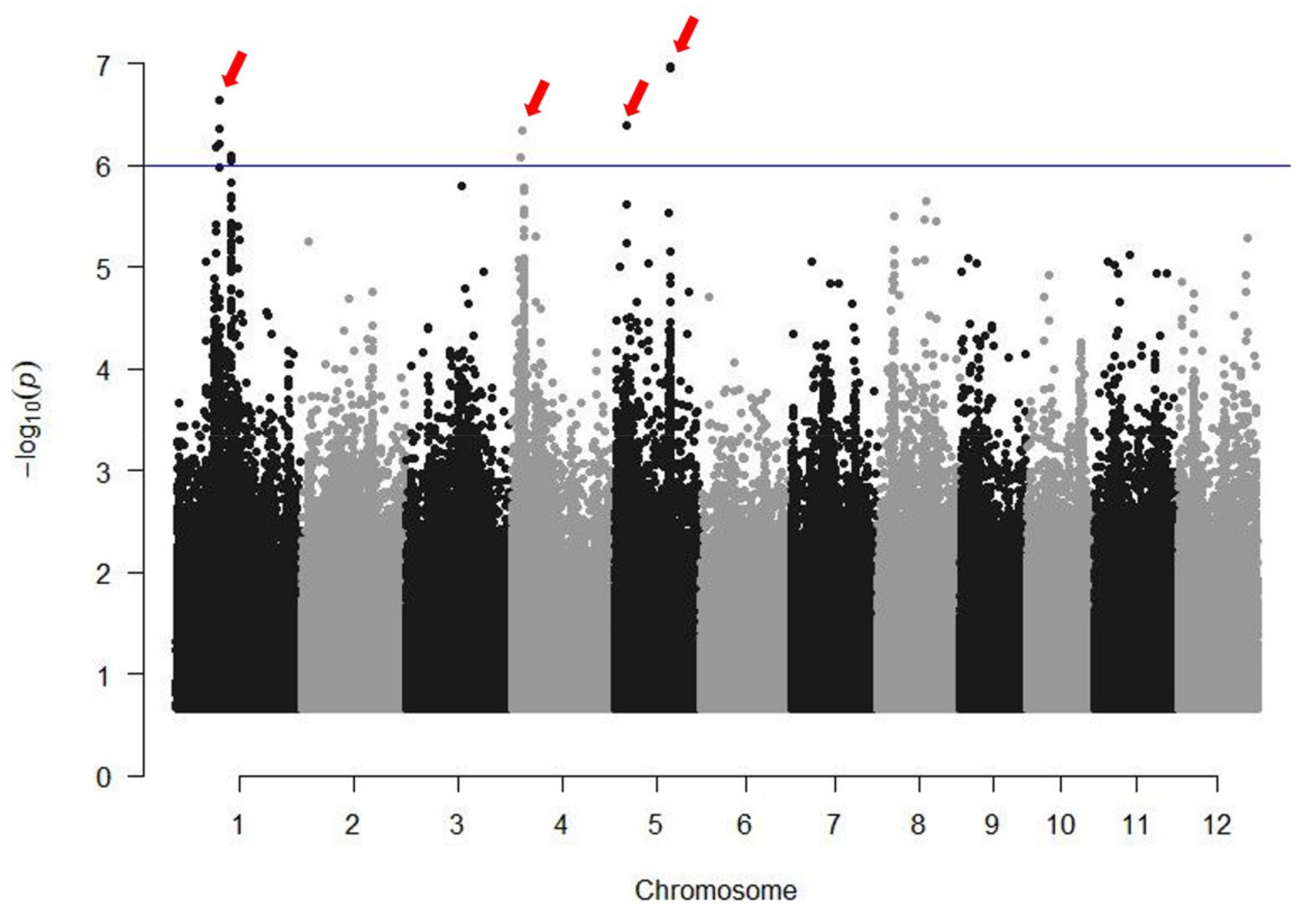 Agriculture 11 00318 g004 Agriculture 11 00318 g004