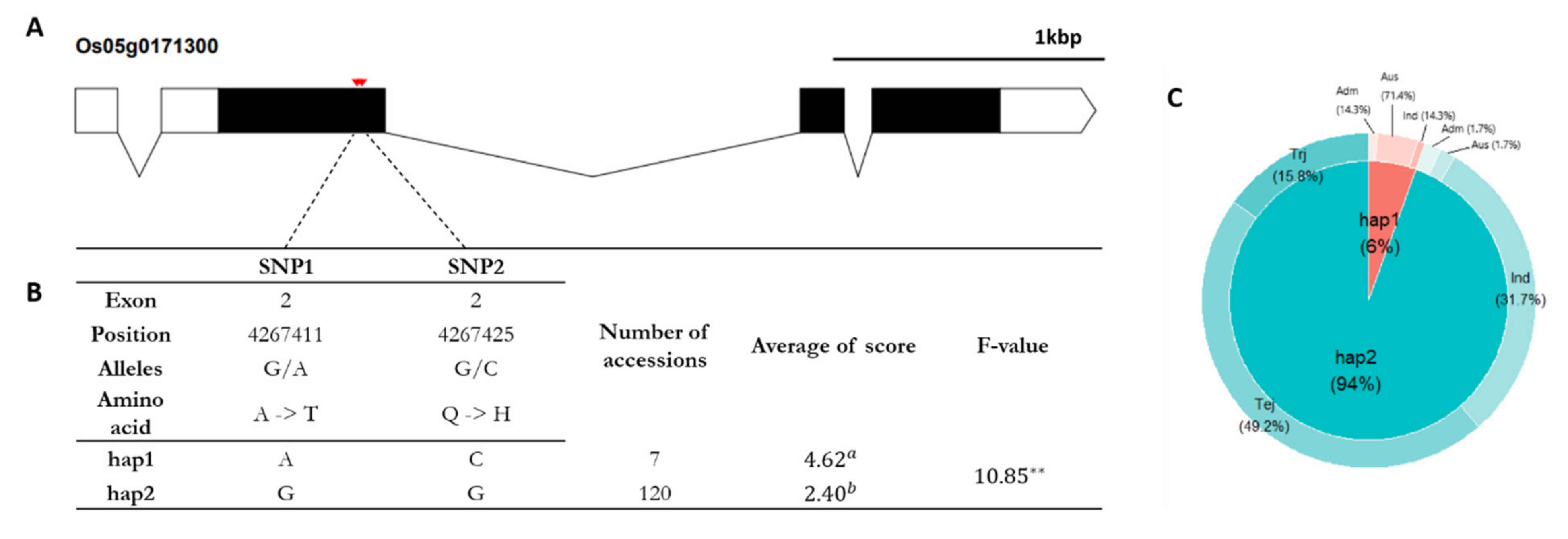Agriculture 11 00318 g006 Agriculture 11 00318 g006