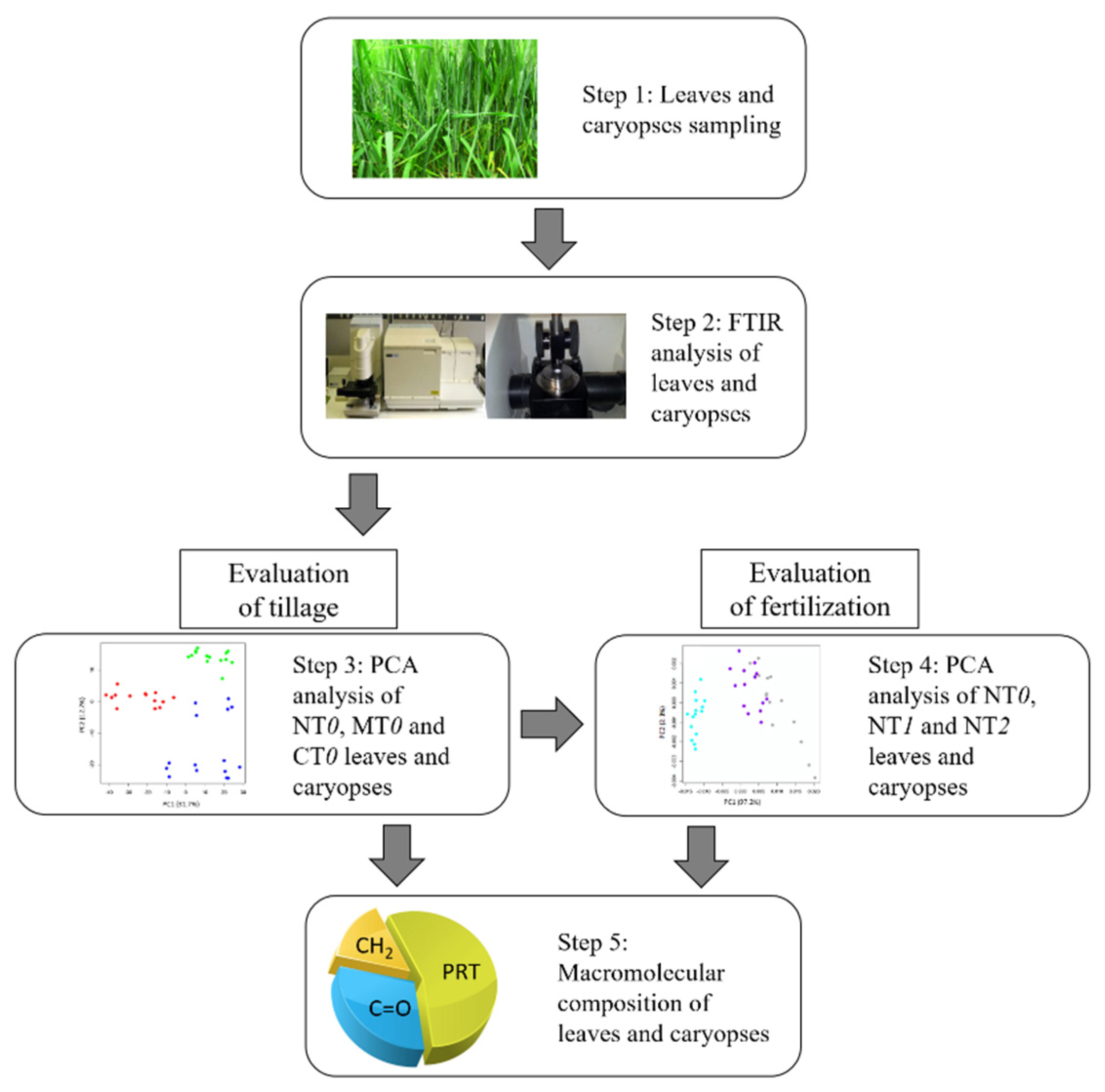 Agriculture 11 00321 g002 Agriculture 11 00321 g002