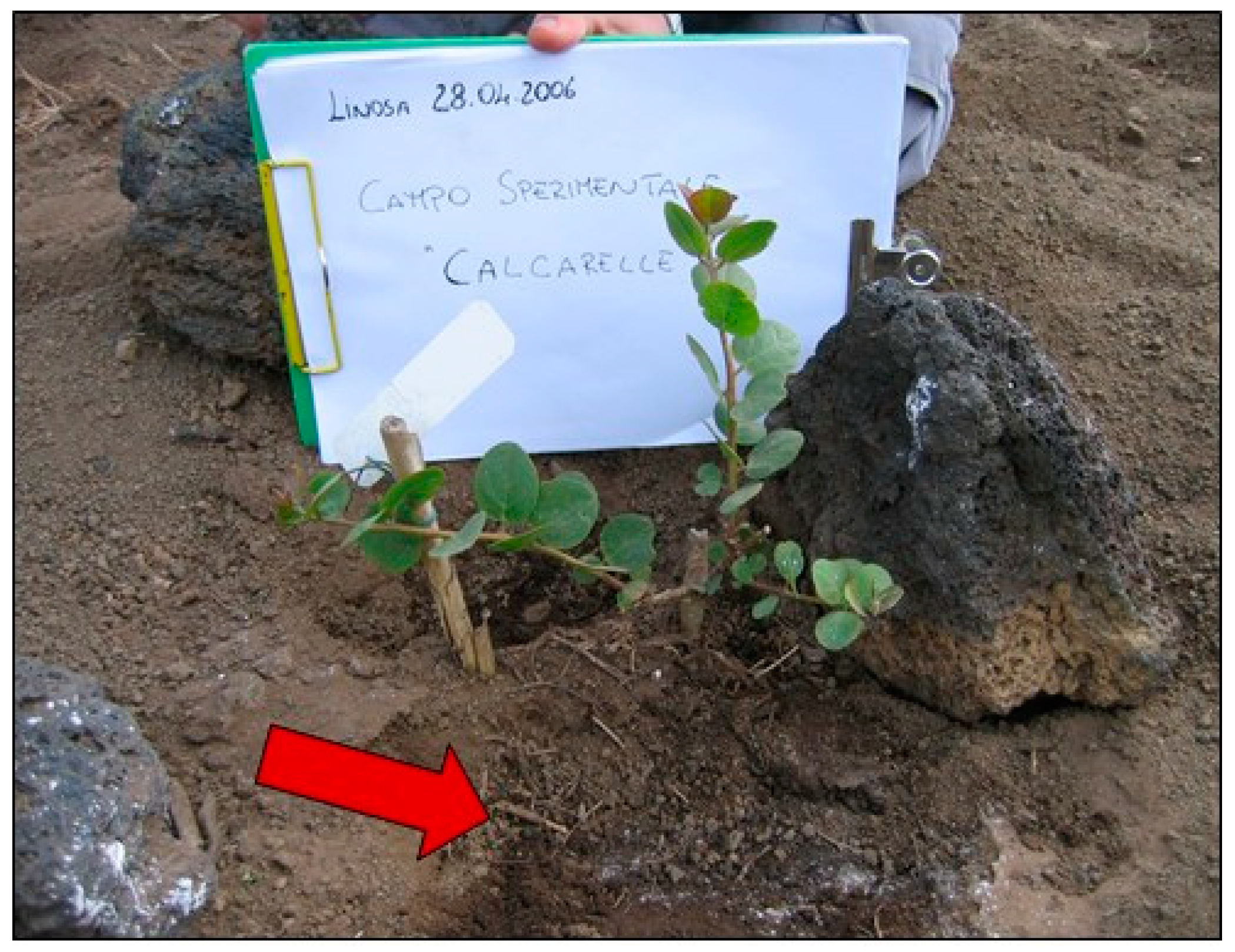 Agriculture 11 00327 g001