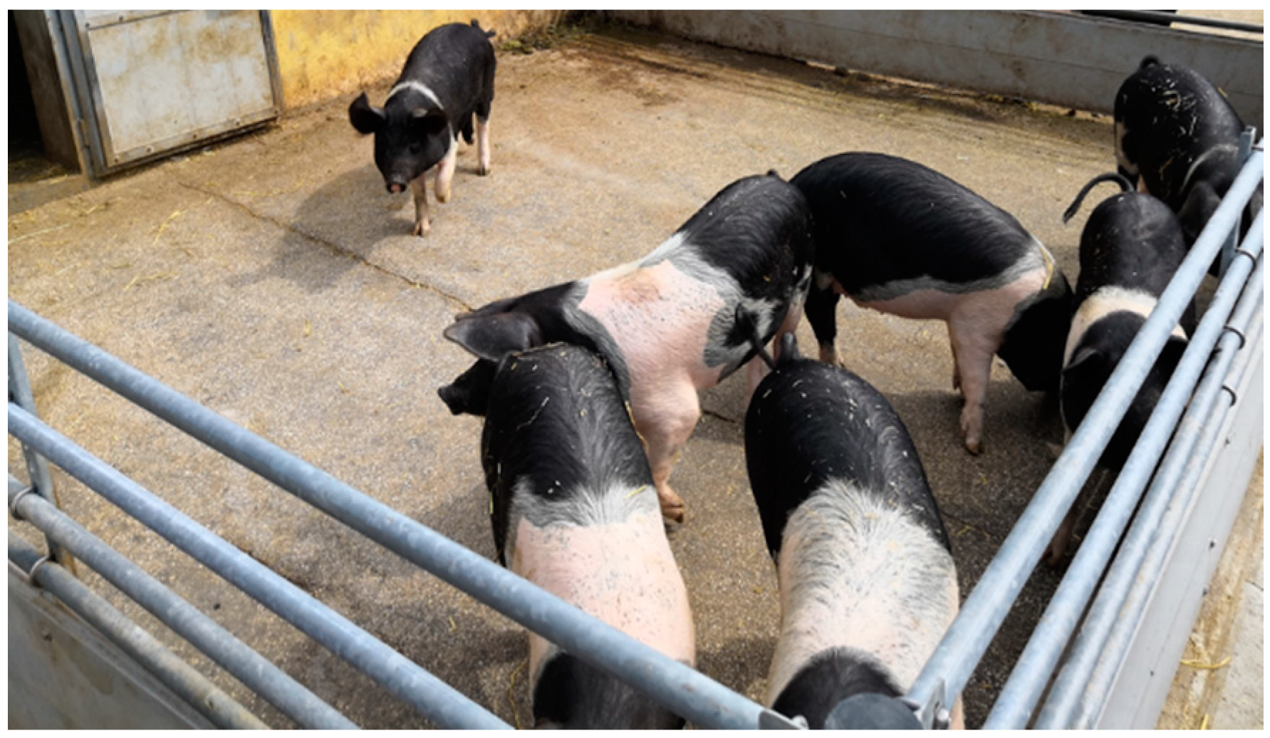 Agriculture 11 00331 g001 Agriculture 11 00331 g001