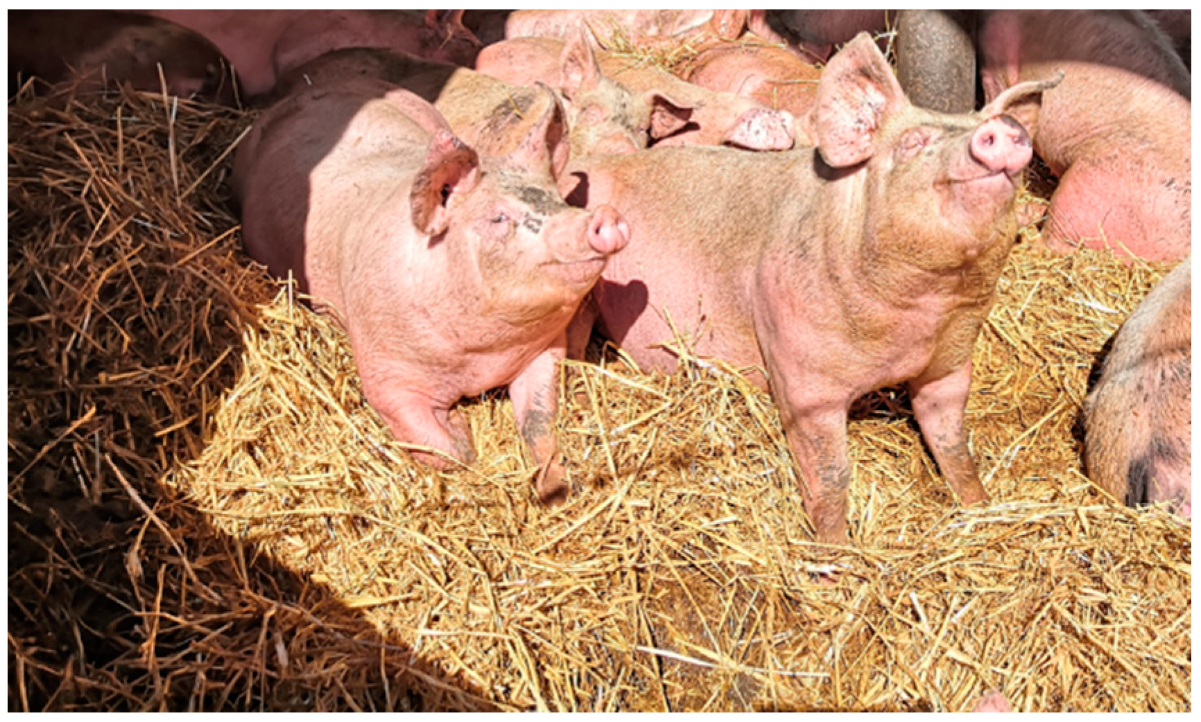 Agriculture 11 00331 g002 Agriculture 11 00331 g002