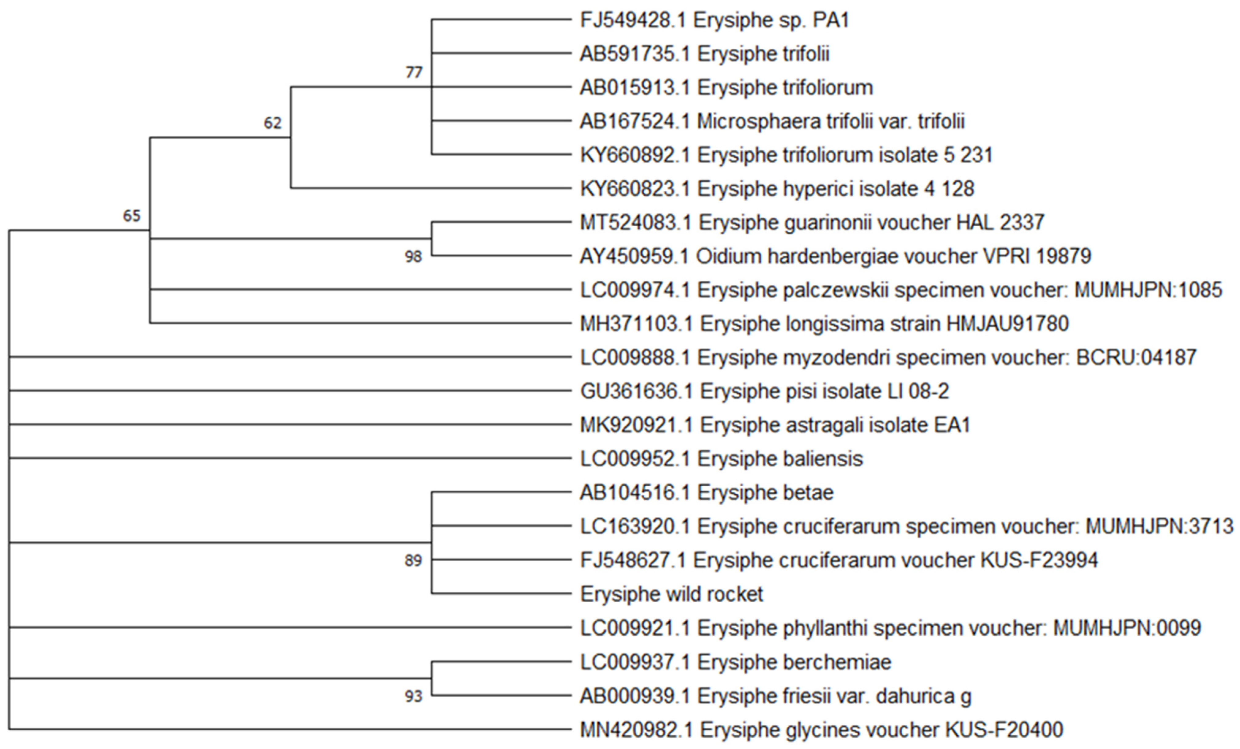 Agriculture 11 00337 g005