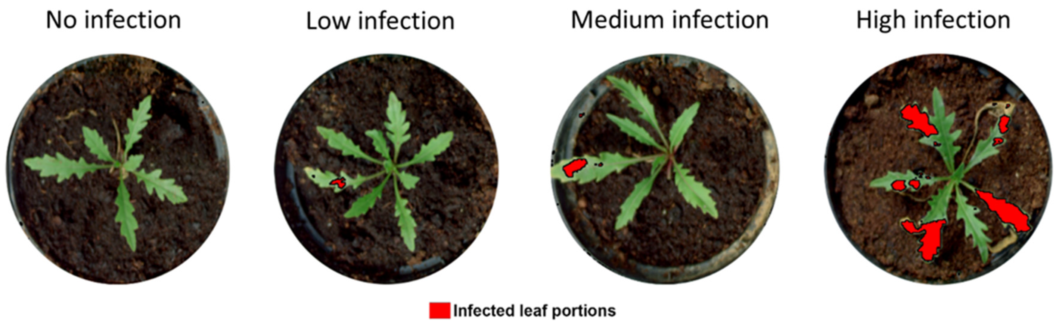 Agriculture 11 00337 g009