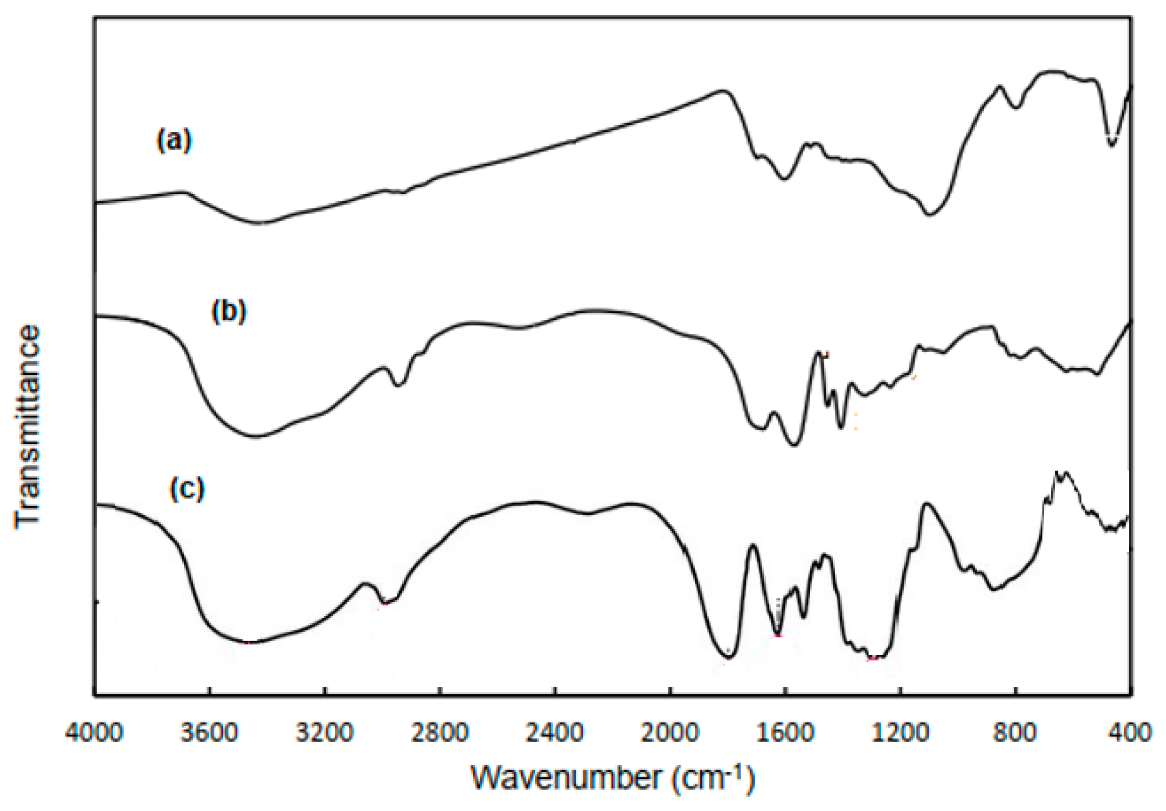 Agriculture 11 00350 g002