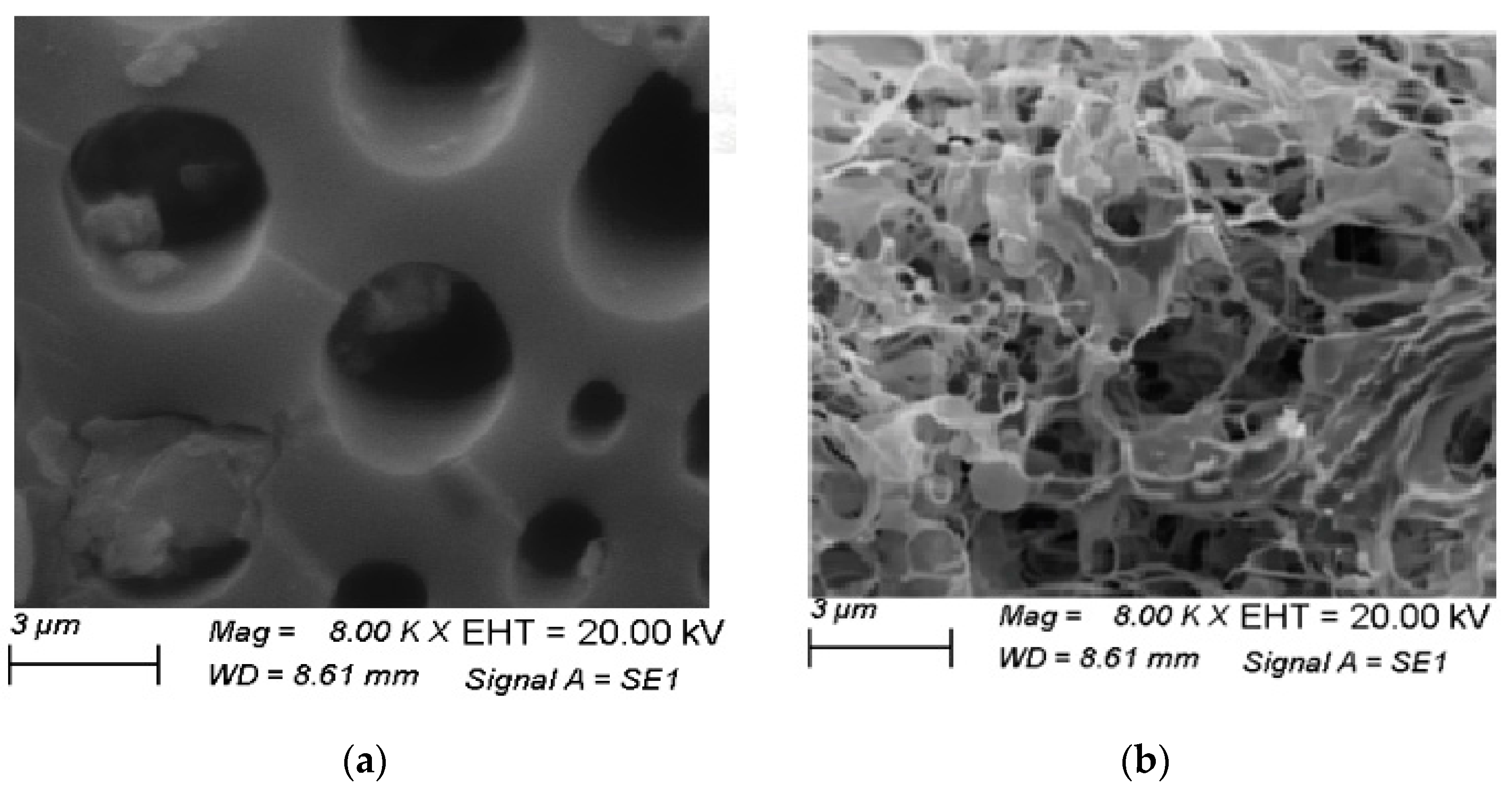 Agriculture 11 00350 g005