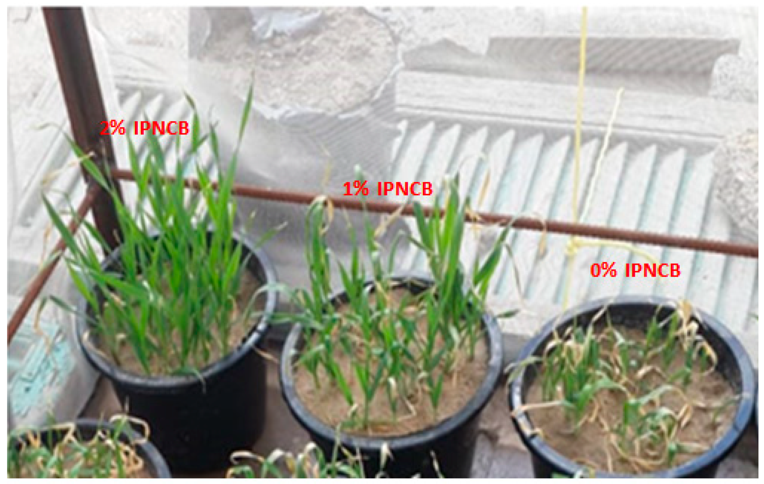 Agriculture 11 00350 g012