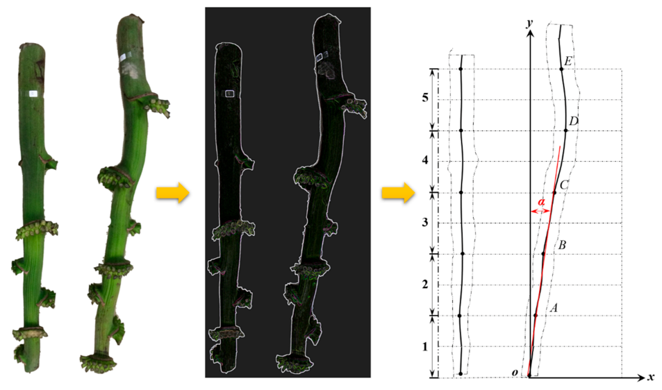 Agriculture 11 00362 g003