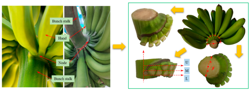 Agriculture 11 00362 g005