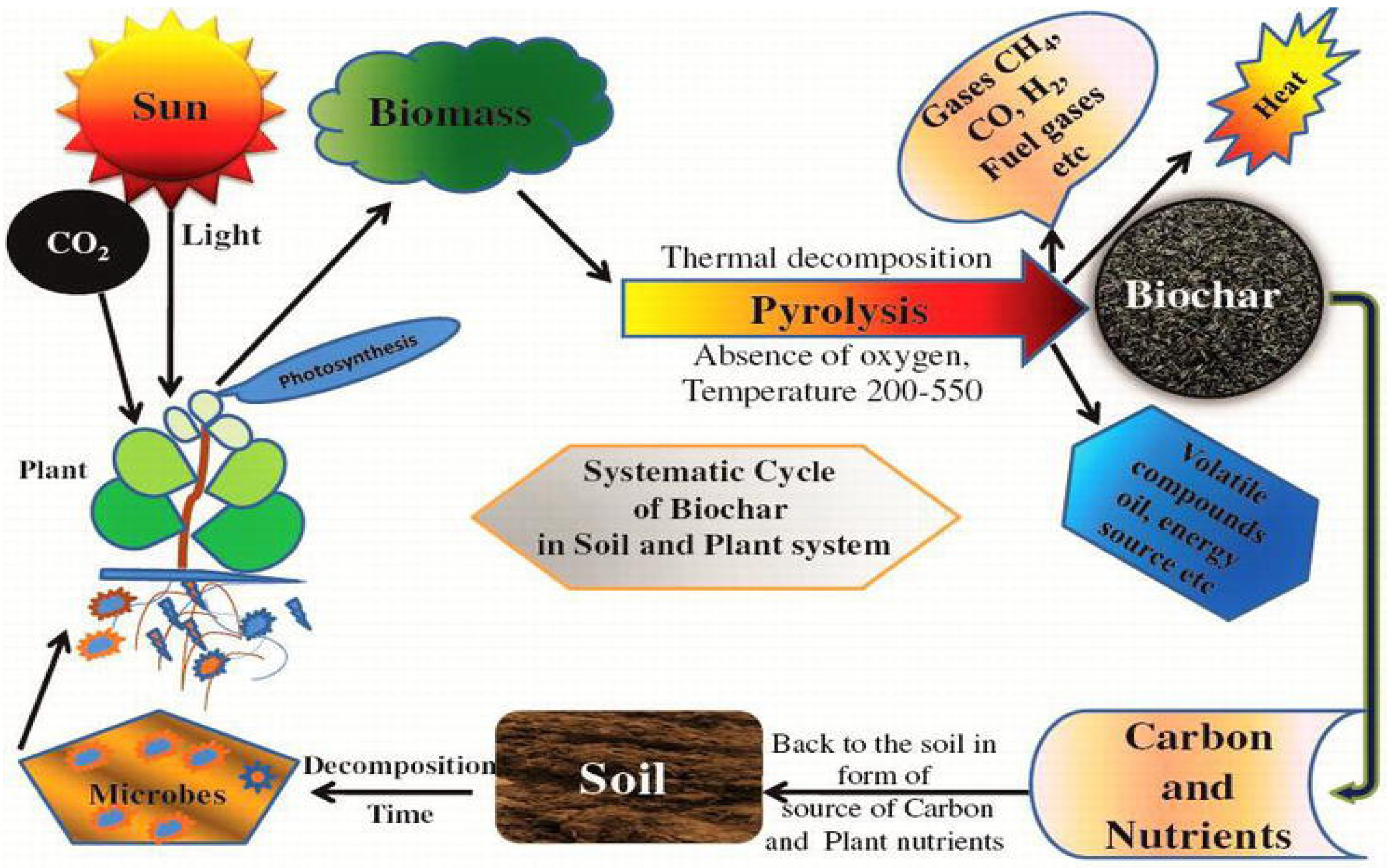Agriculture 11 00367 g002 Agriculture 11 00367 g002