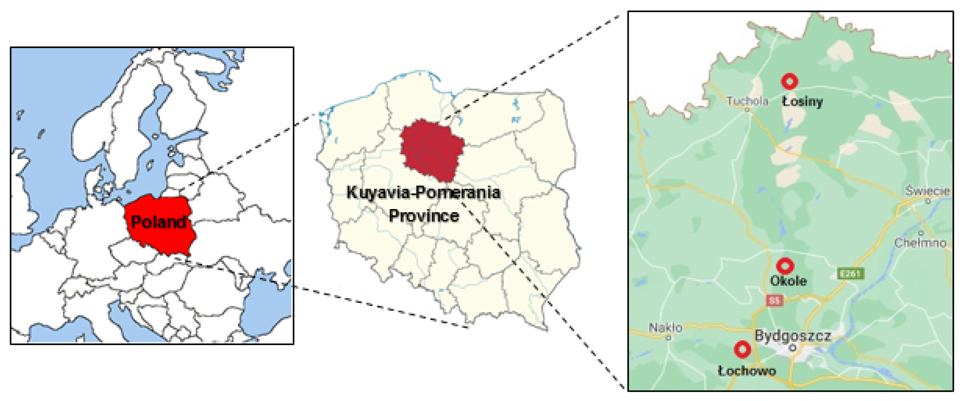 Agriculture 11 00375 g001