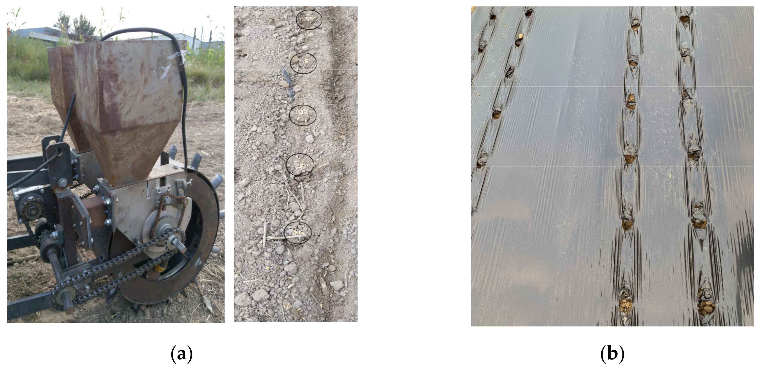 Agriculture 11 00378 g010 Agriculture 11 00378 g010