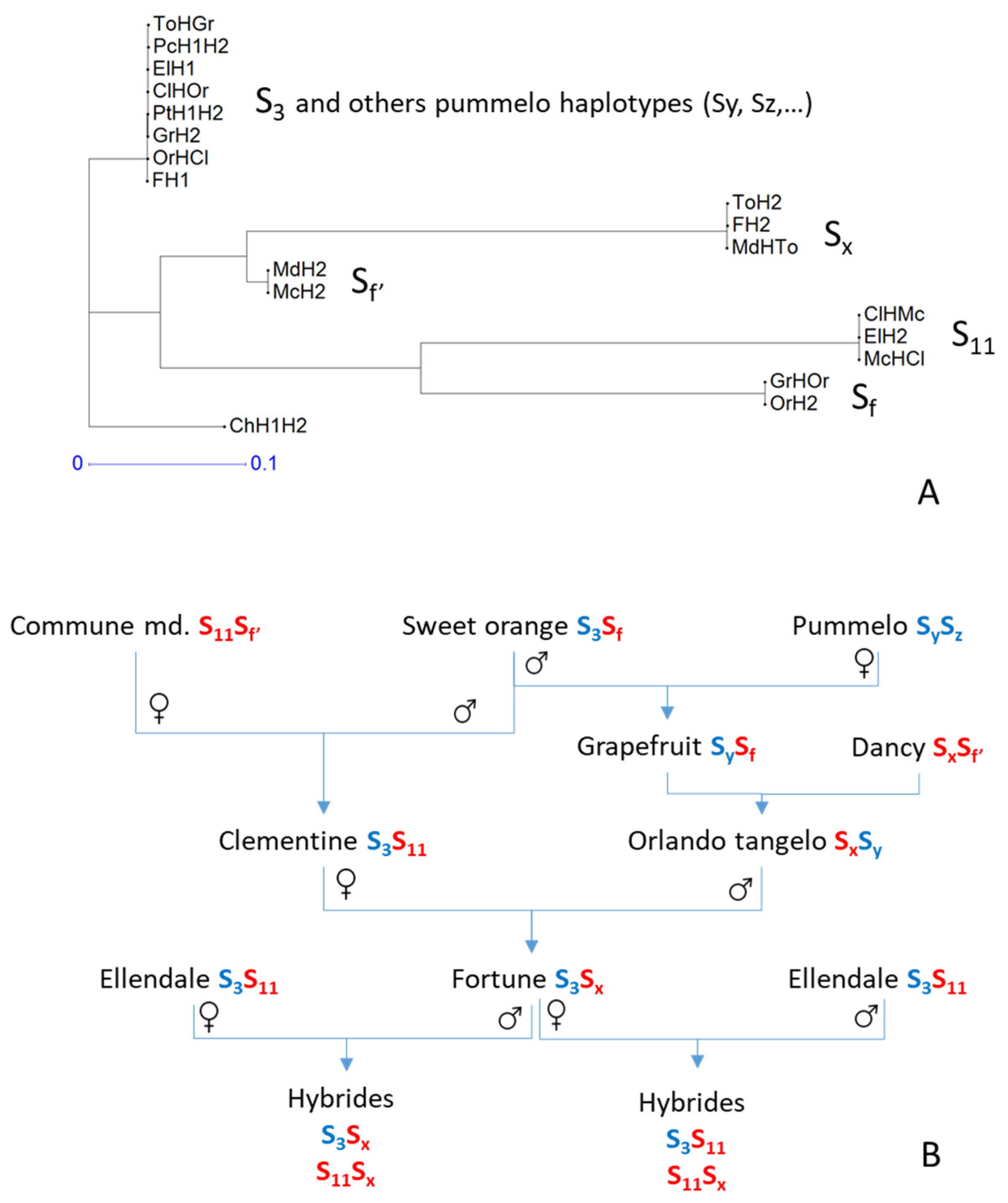 Agriculture 11 00379 g007 Agriculture 11 00379 g007