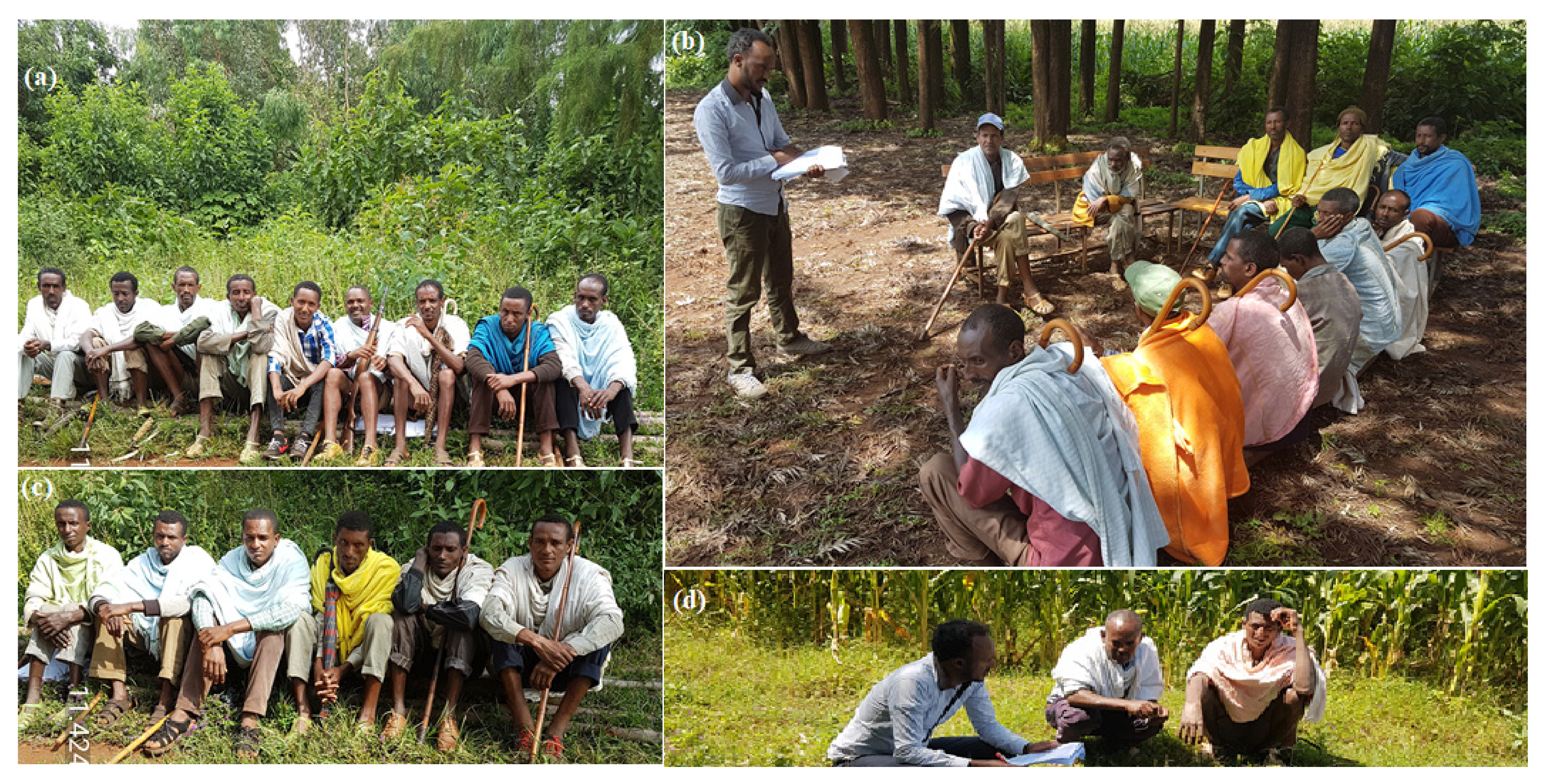 Agriculture 11 00383 g003