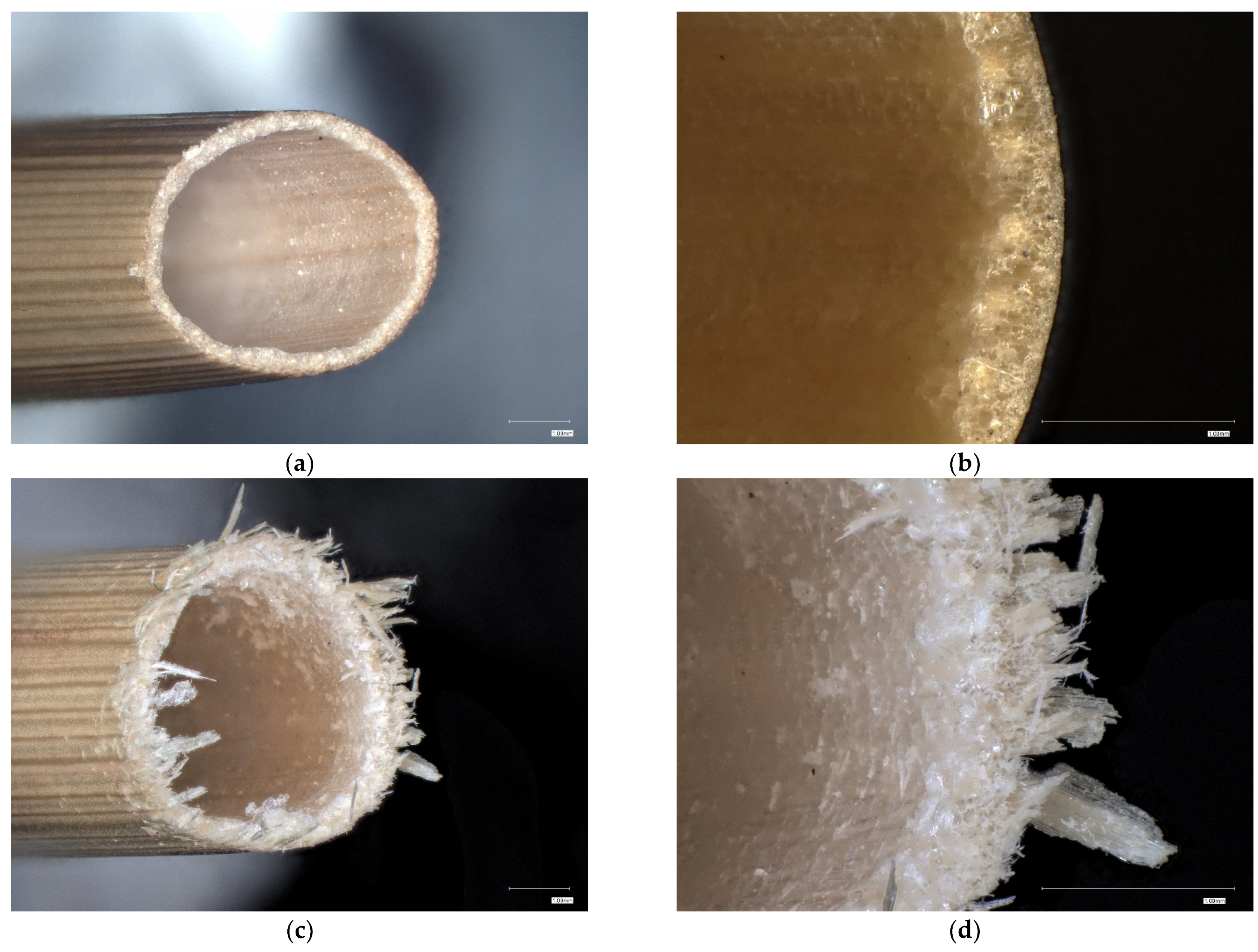 Agriculture 11 00392 g008 Agriculture 11 00392 g008