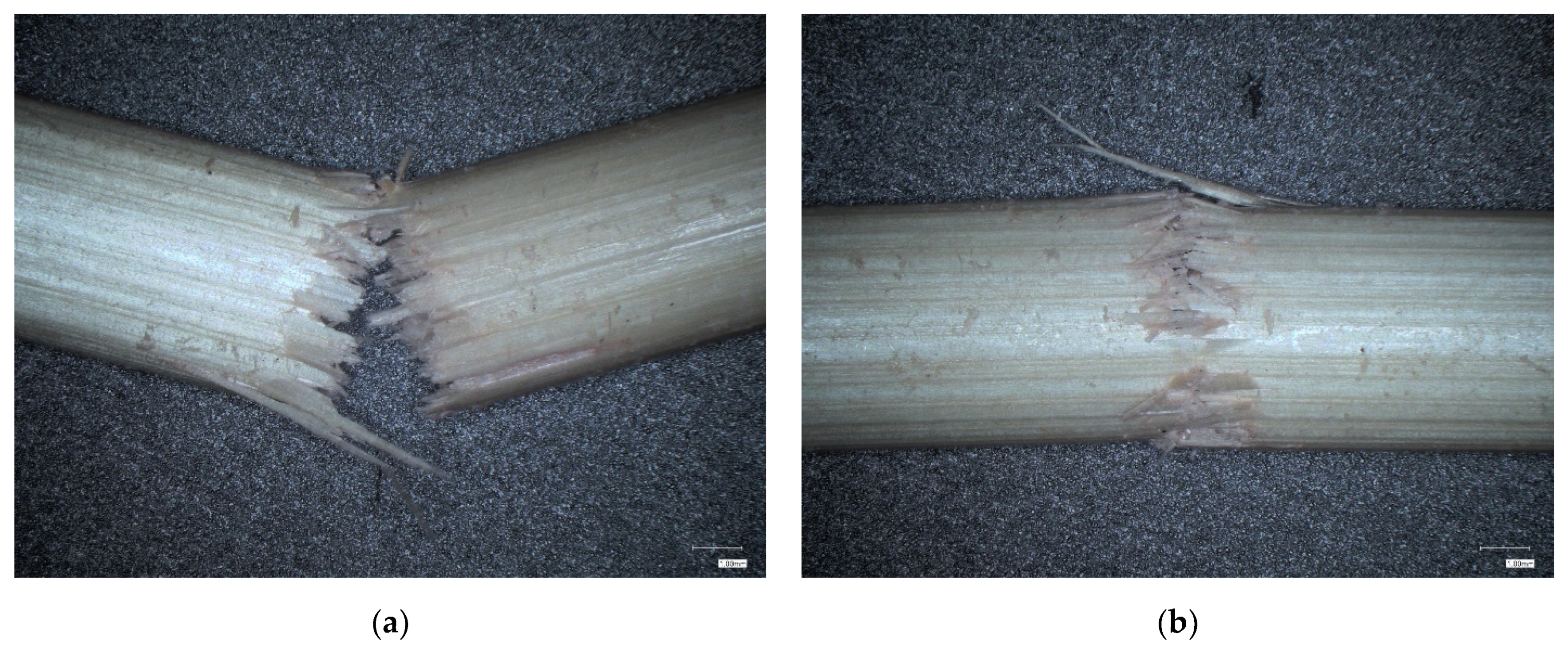 Agriculture 11 00392 g009 Agriculture 11 00392 g009