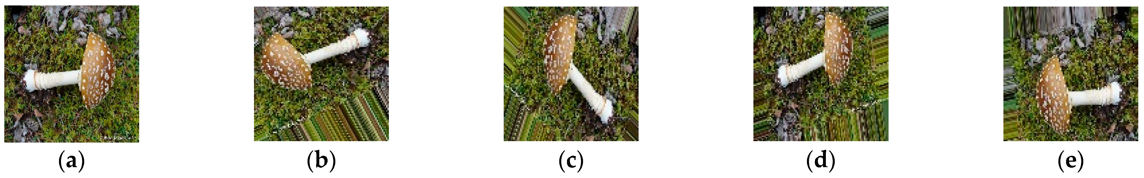 Agriculture 11 00393 g001 Agriculture 11 00393 g001