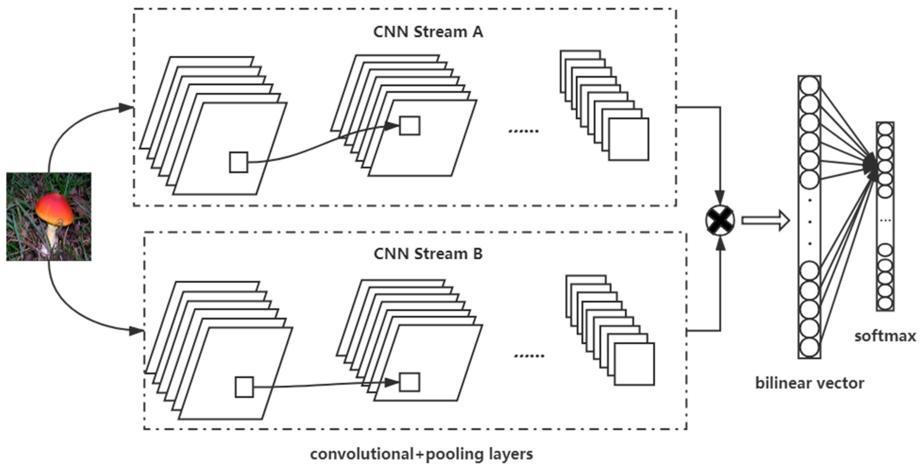 Agriculture 11 00393 g003 Agriculture 11 00393 g003