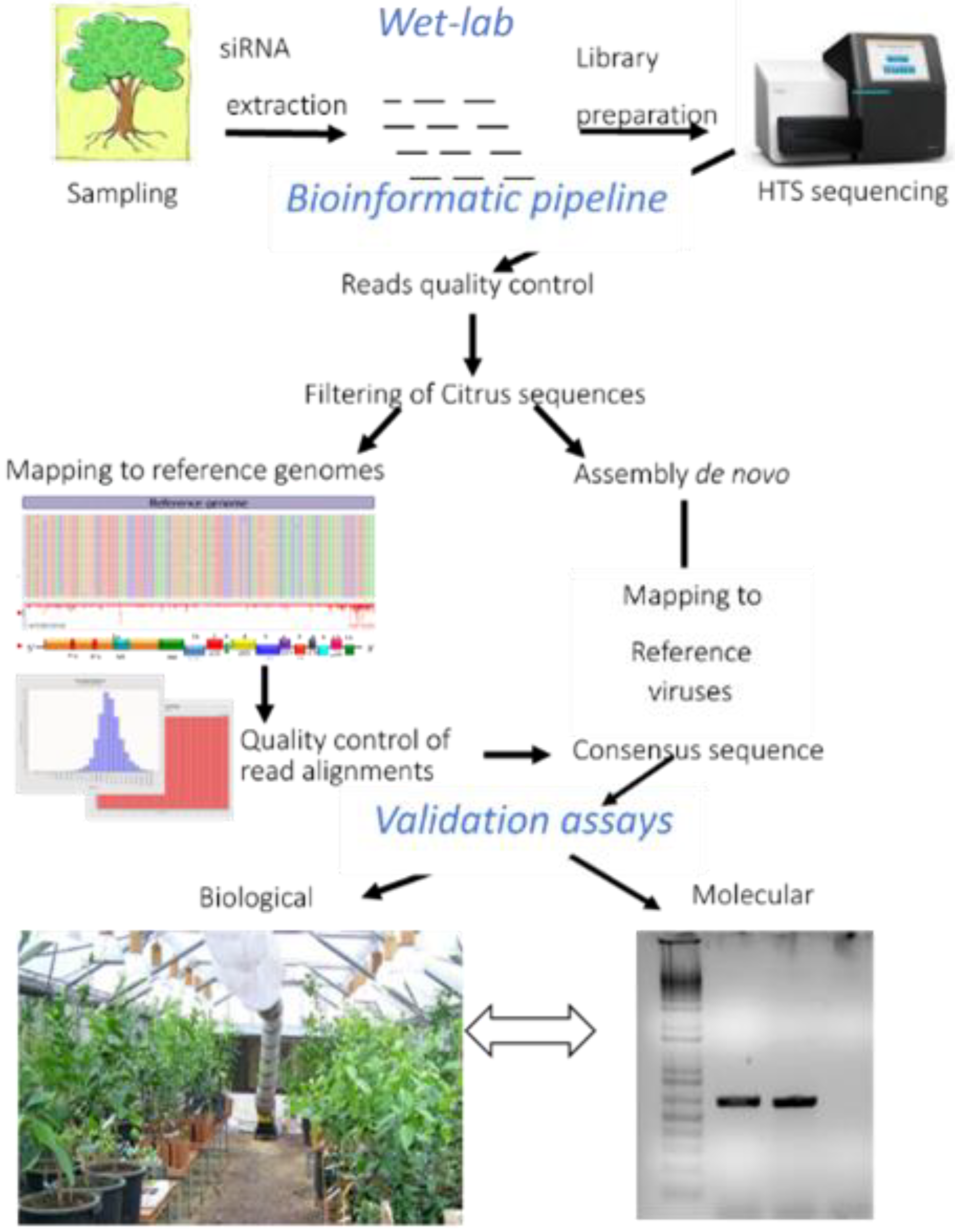 Agriculture 11 00400 g001