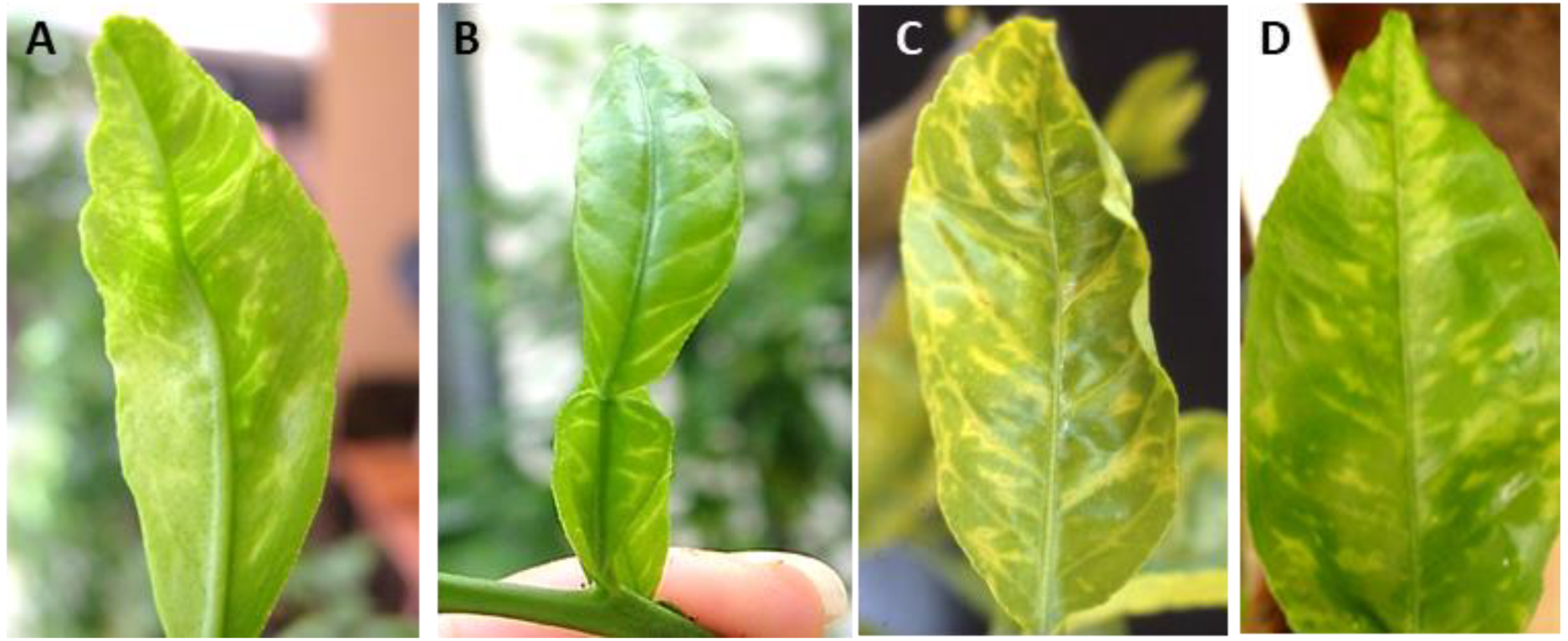 Agriculture 11 00400 g007