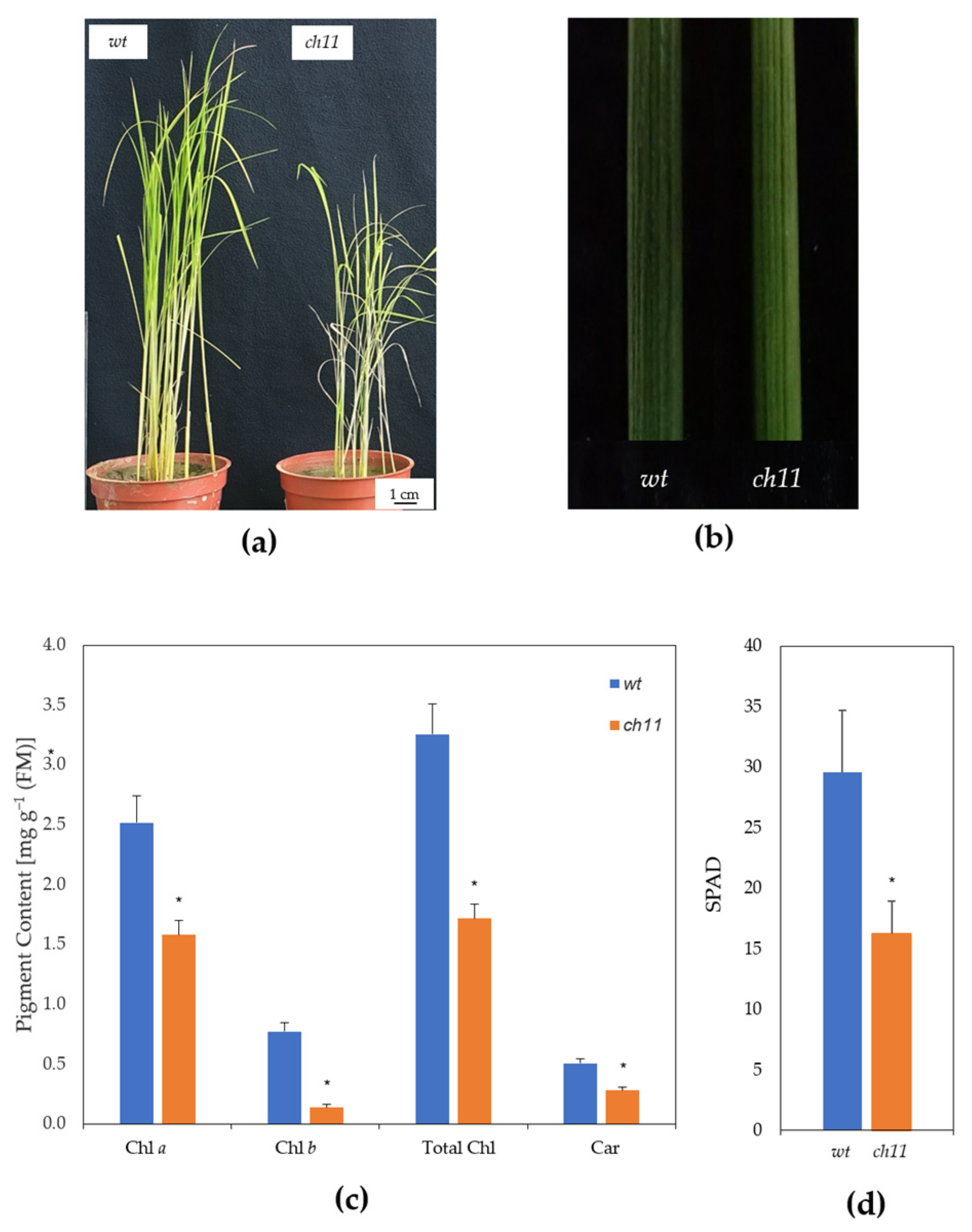Agriculture 11 00401 g001 Agriculture 11 00401 g001