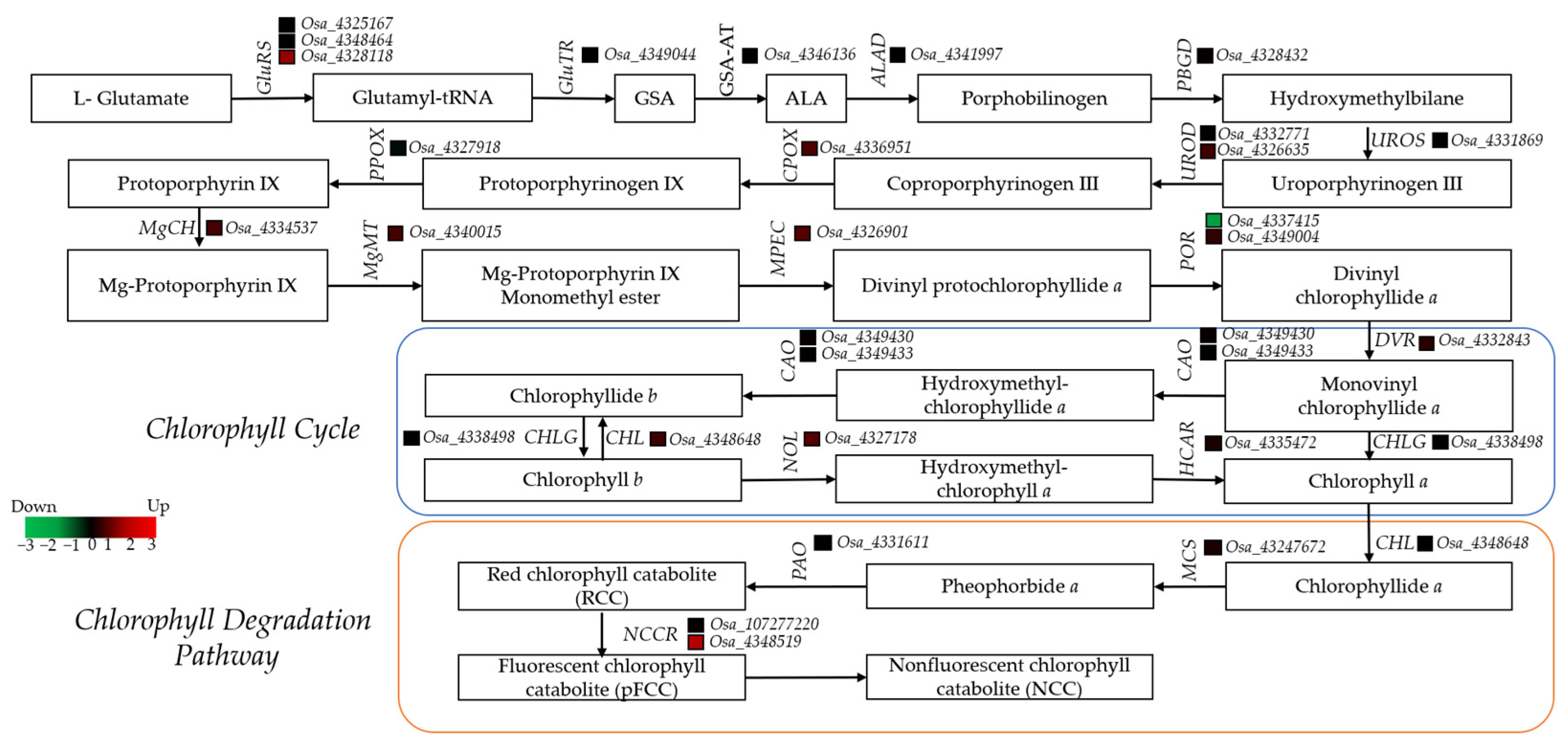 Agriculture 11 00401 g006 Agriculture 11 00401 g006