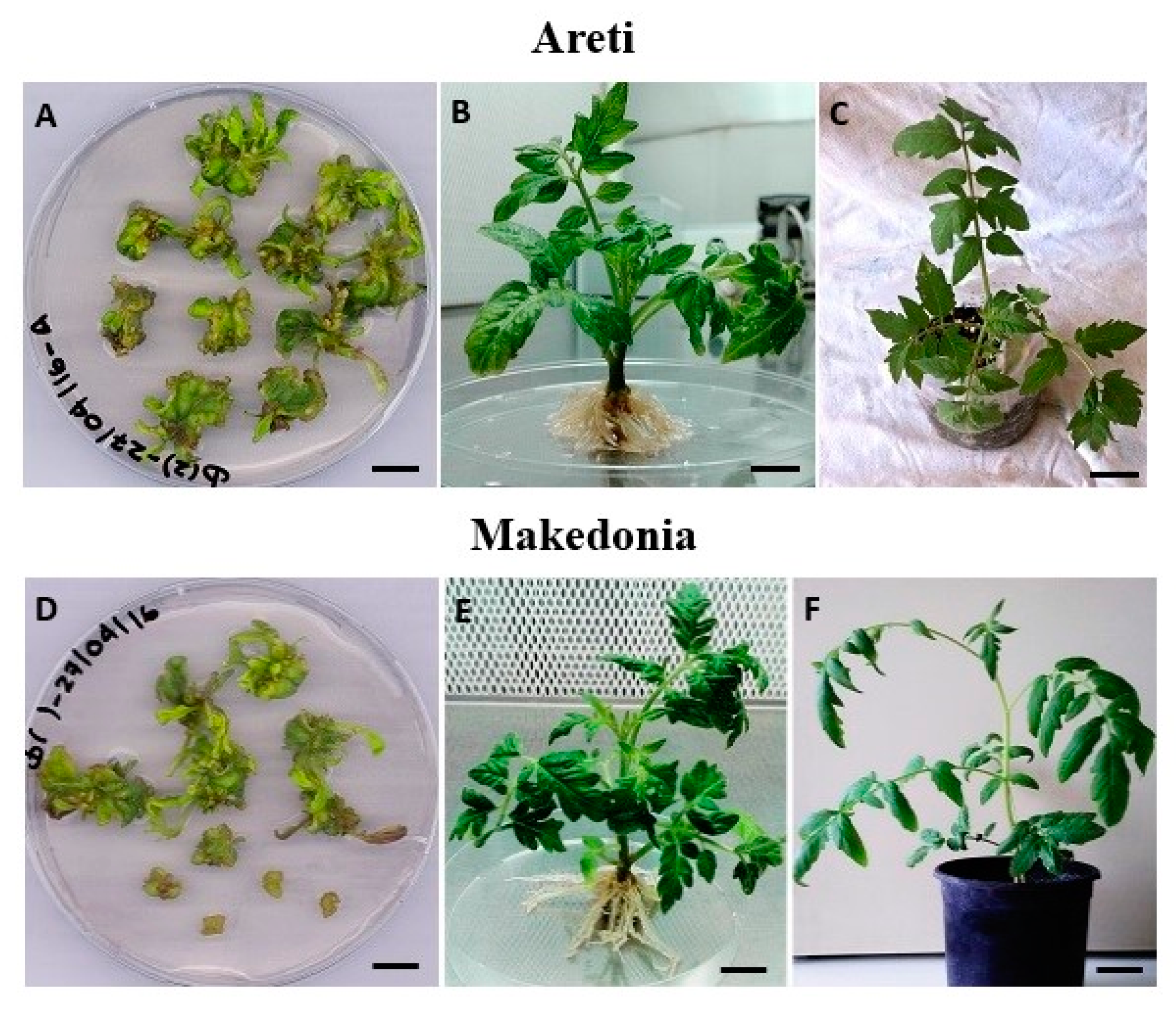 Agriculture 11 00412 g002 Agriculture 11 00412 g002