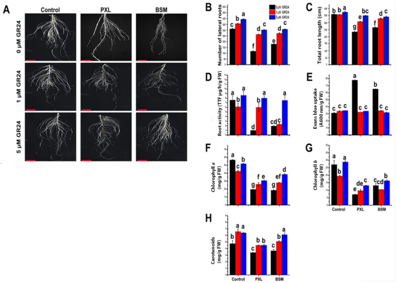 Agriculture 11 00419 g001